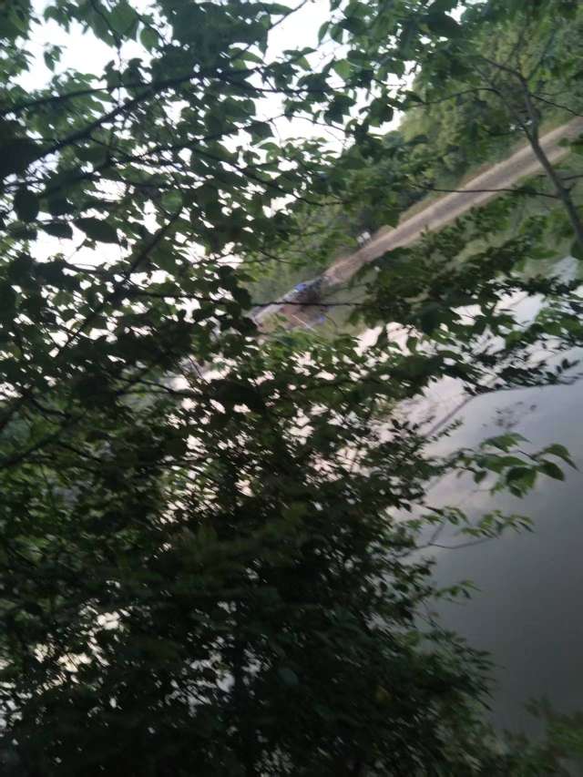 20250514214002front2_0_500211_FuMyr8fld0kpT8QAcjfiOPMzRanI.jpg