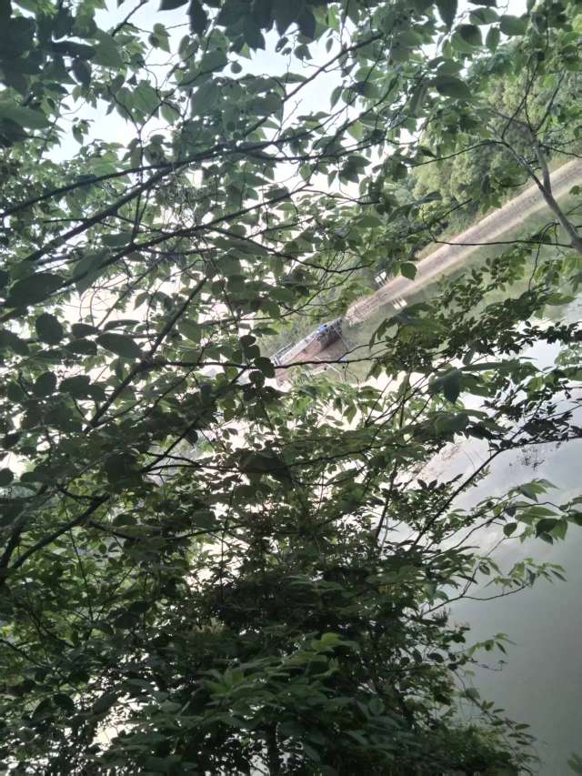 20250514214002front2_0_500211_FiUZYlYcSEKOoVF49-gACbCA_6_2.jpg