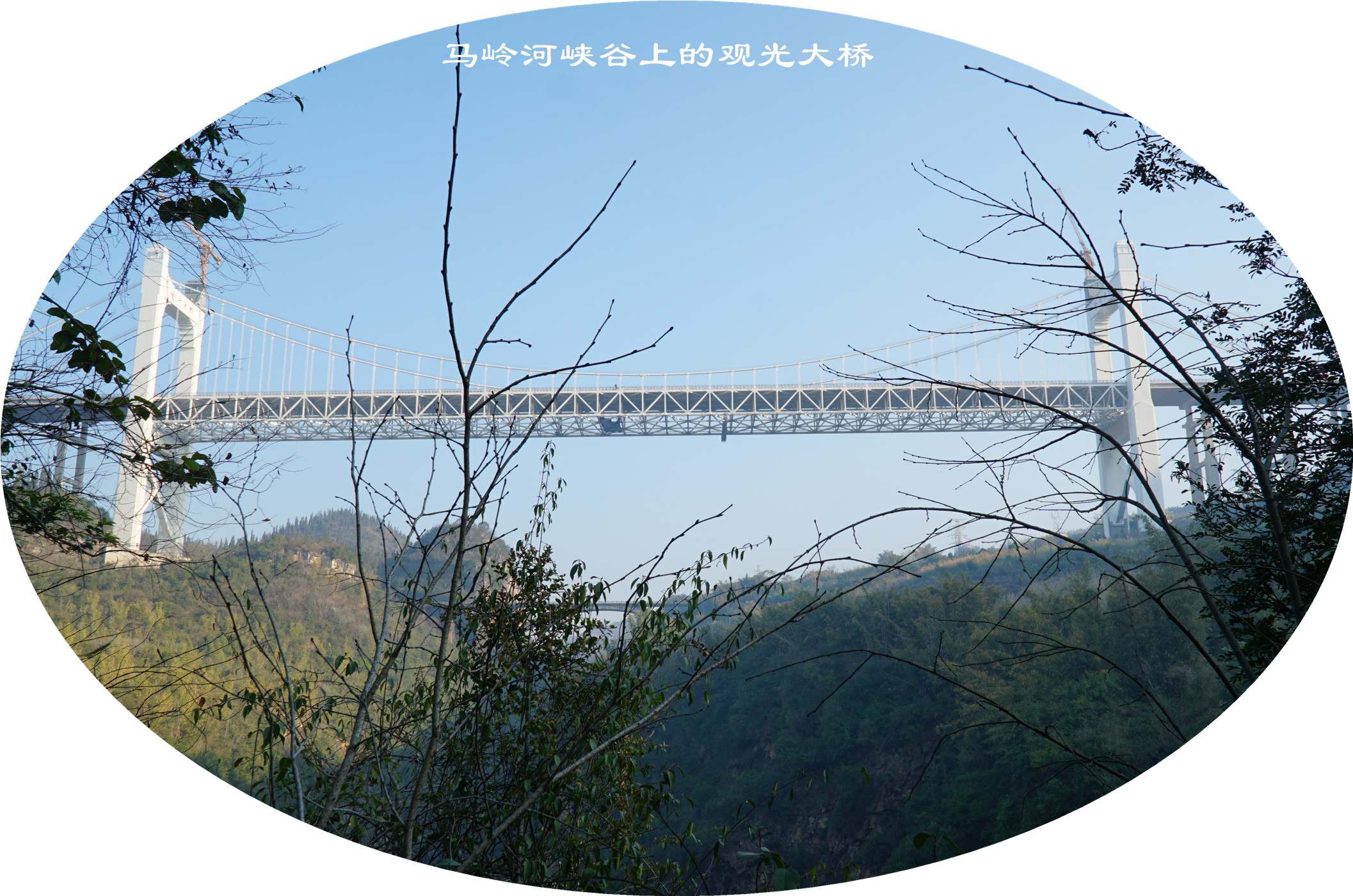 DSC04852.jpg