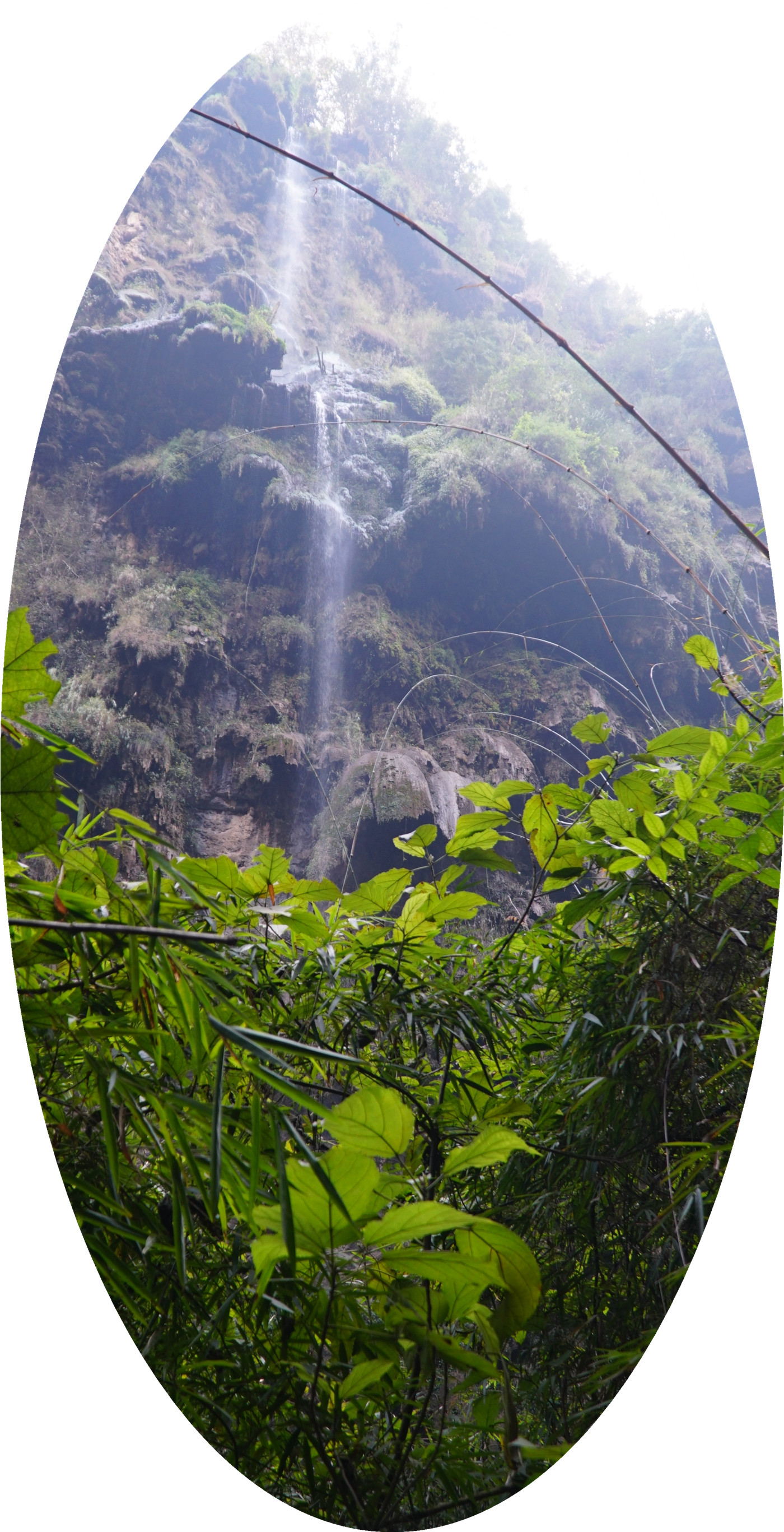 DSC04870.jpg