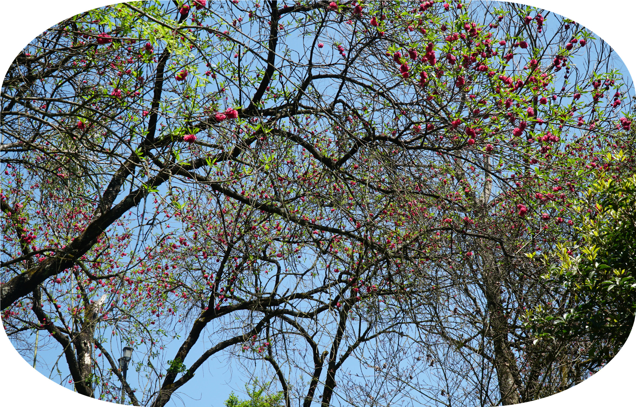 DSC04919.jpg