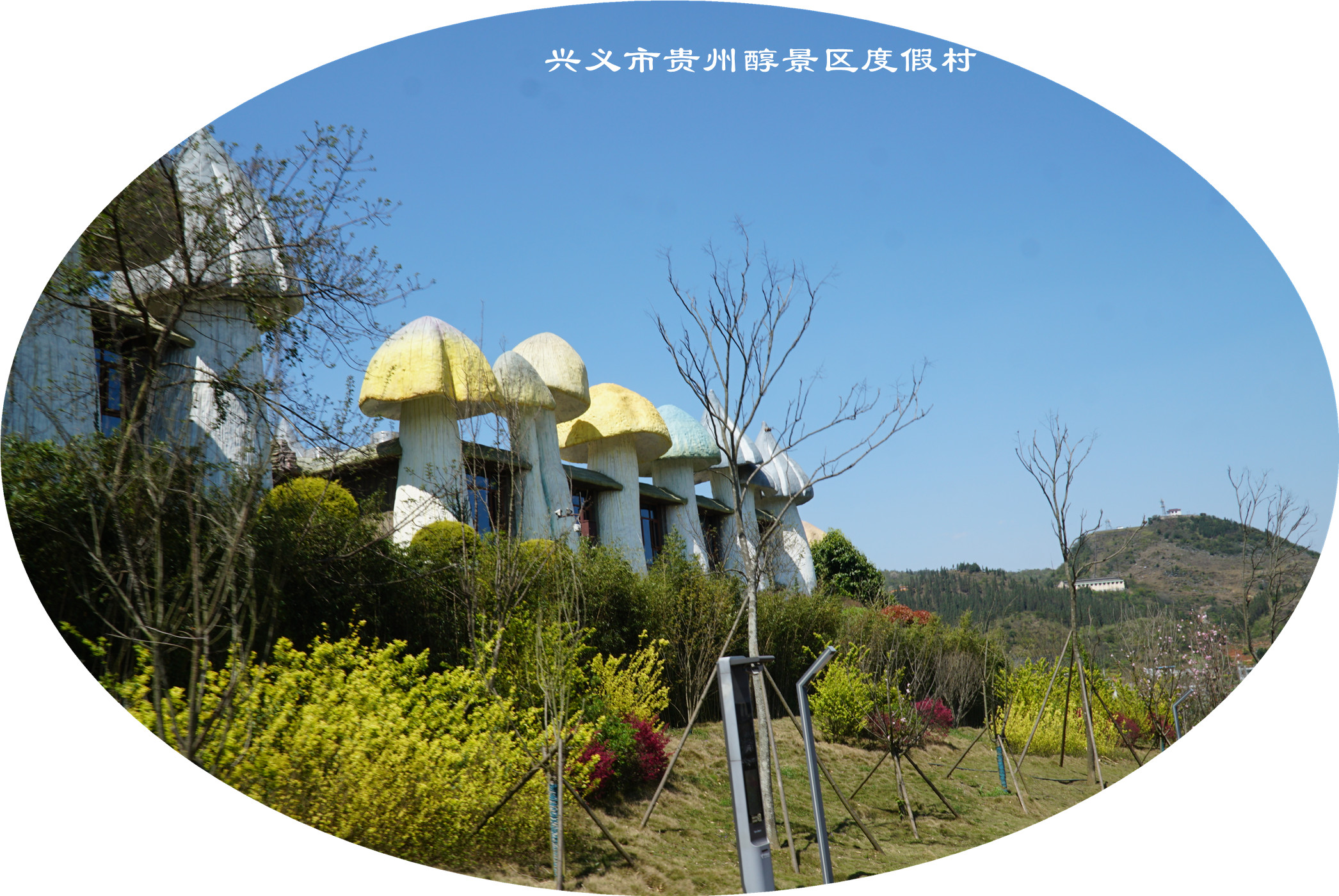DSC04921.jpg