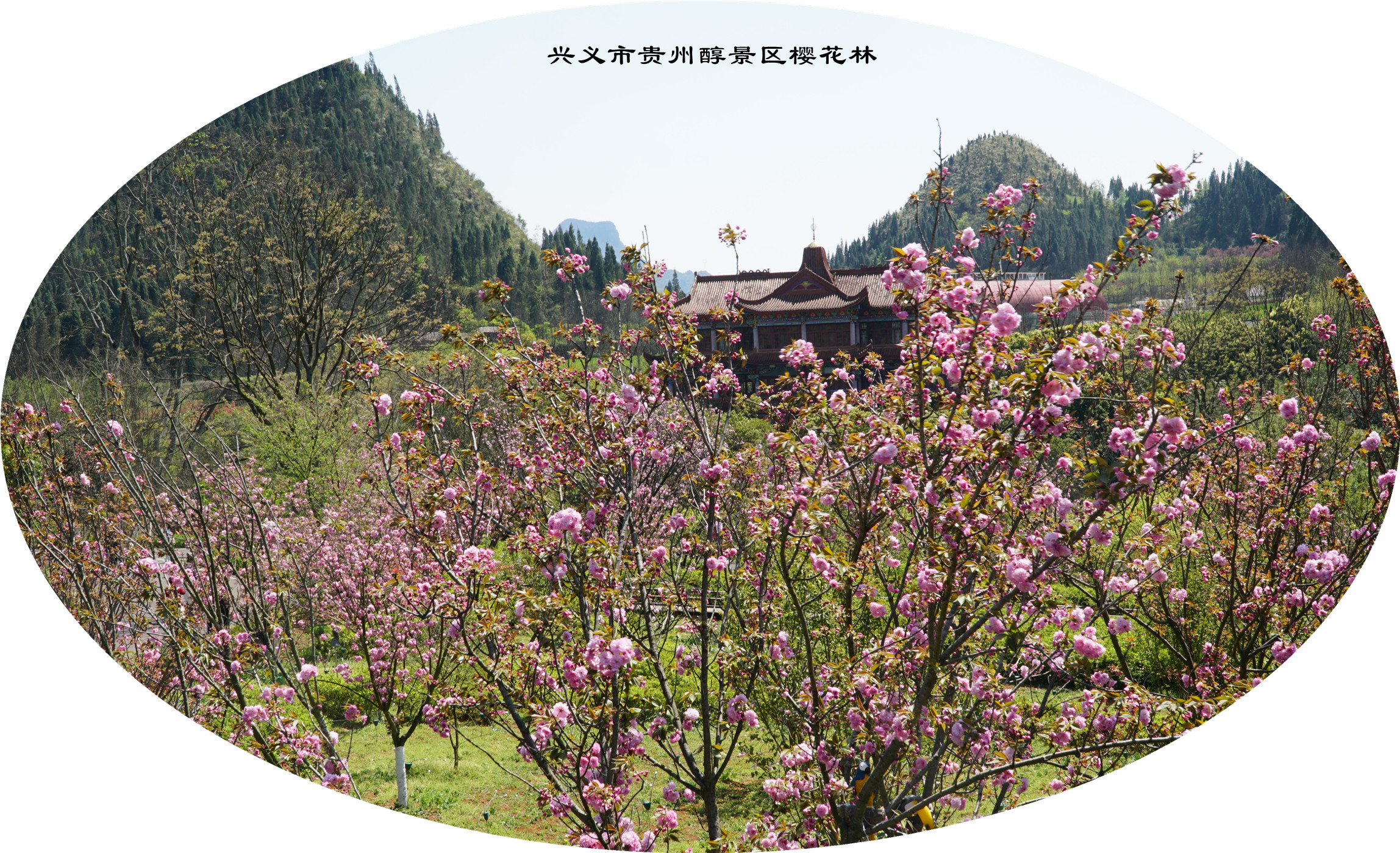 DSC04924.jpg