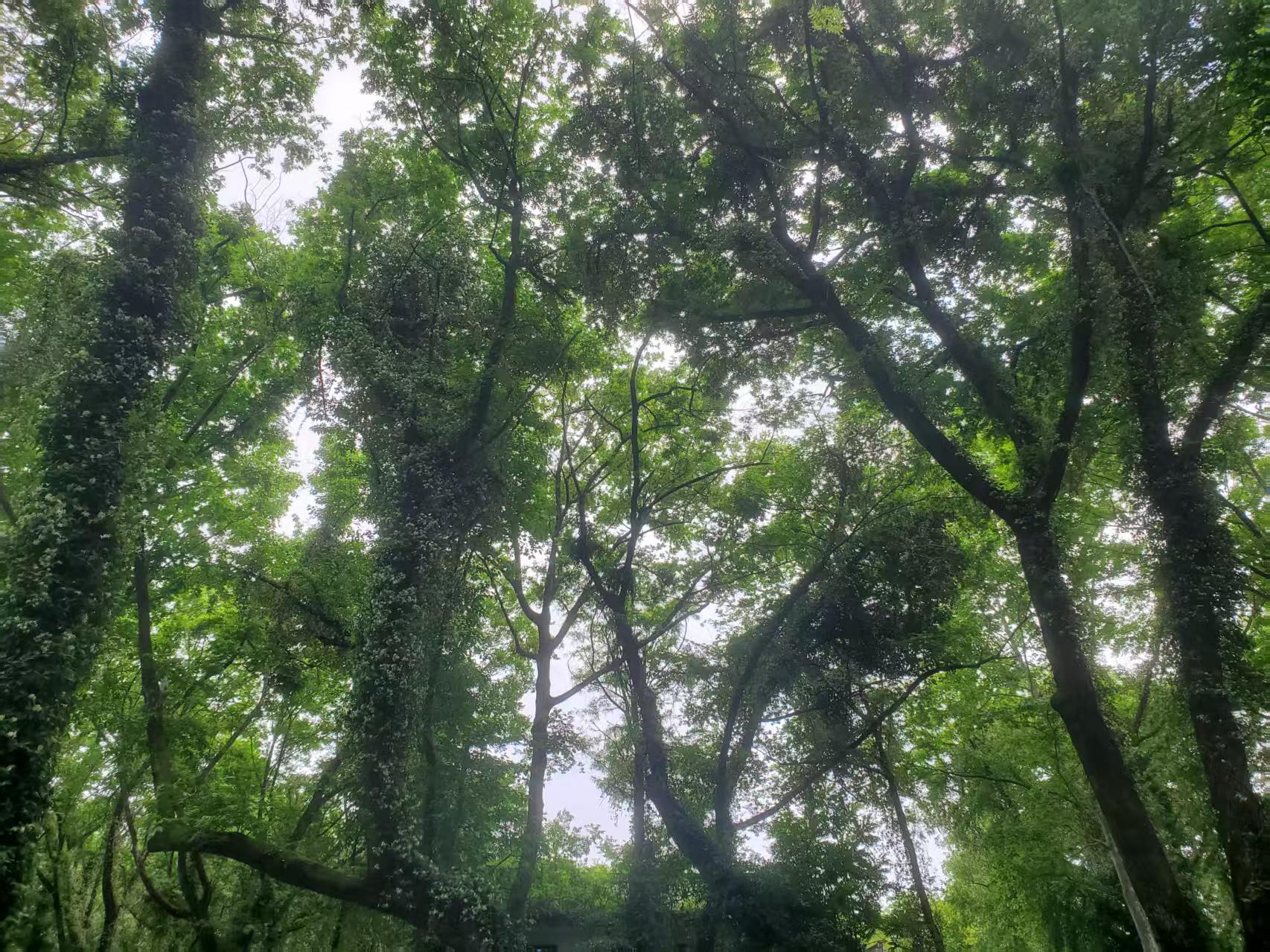 微信图片_202505070928162.jpg