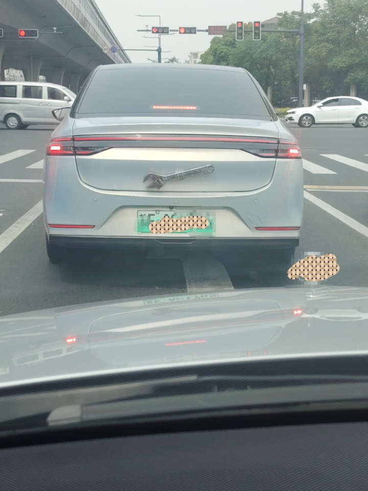 1000000981.jpg