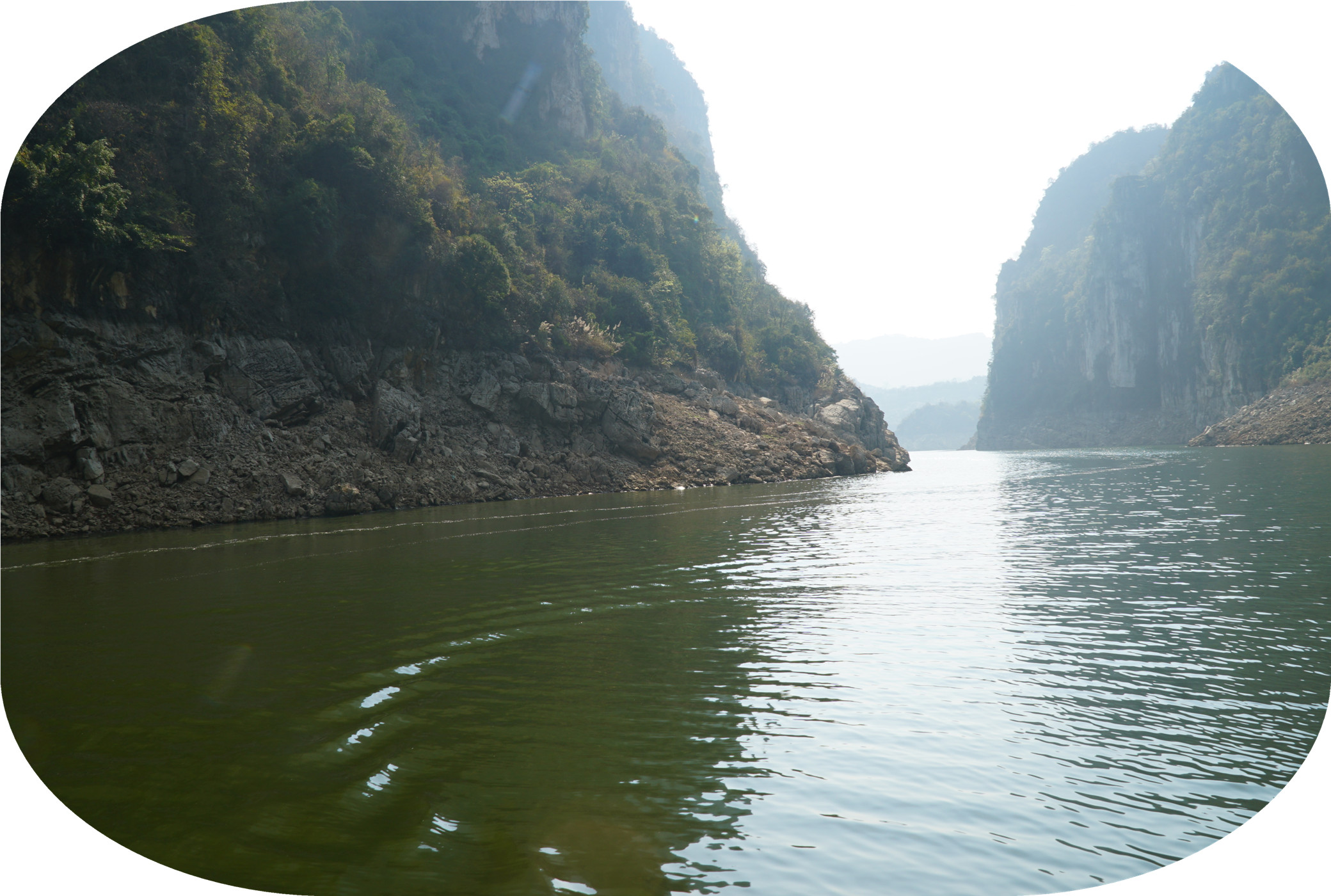 DSC04973.jpg