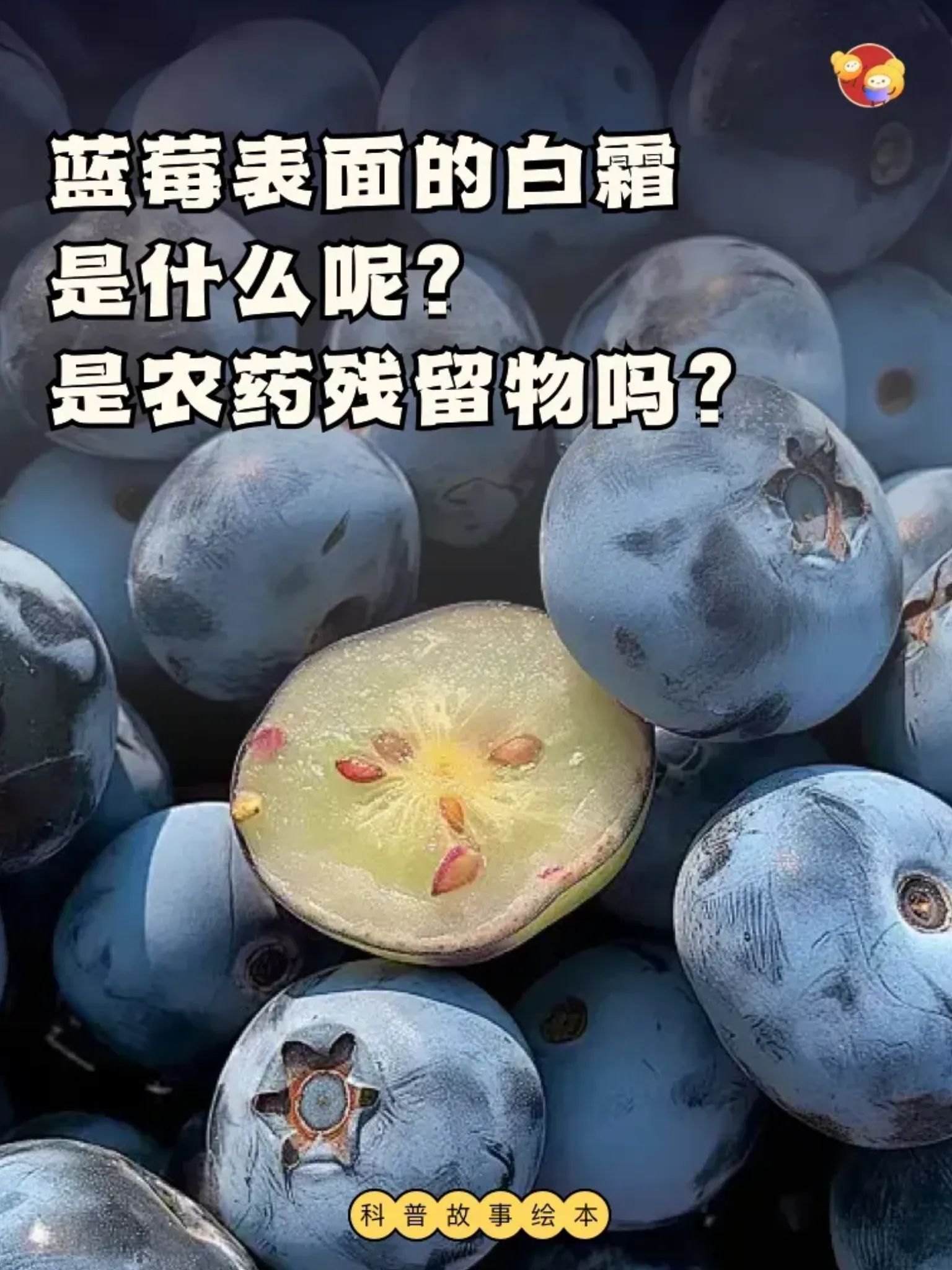 1_1.jpg