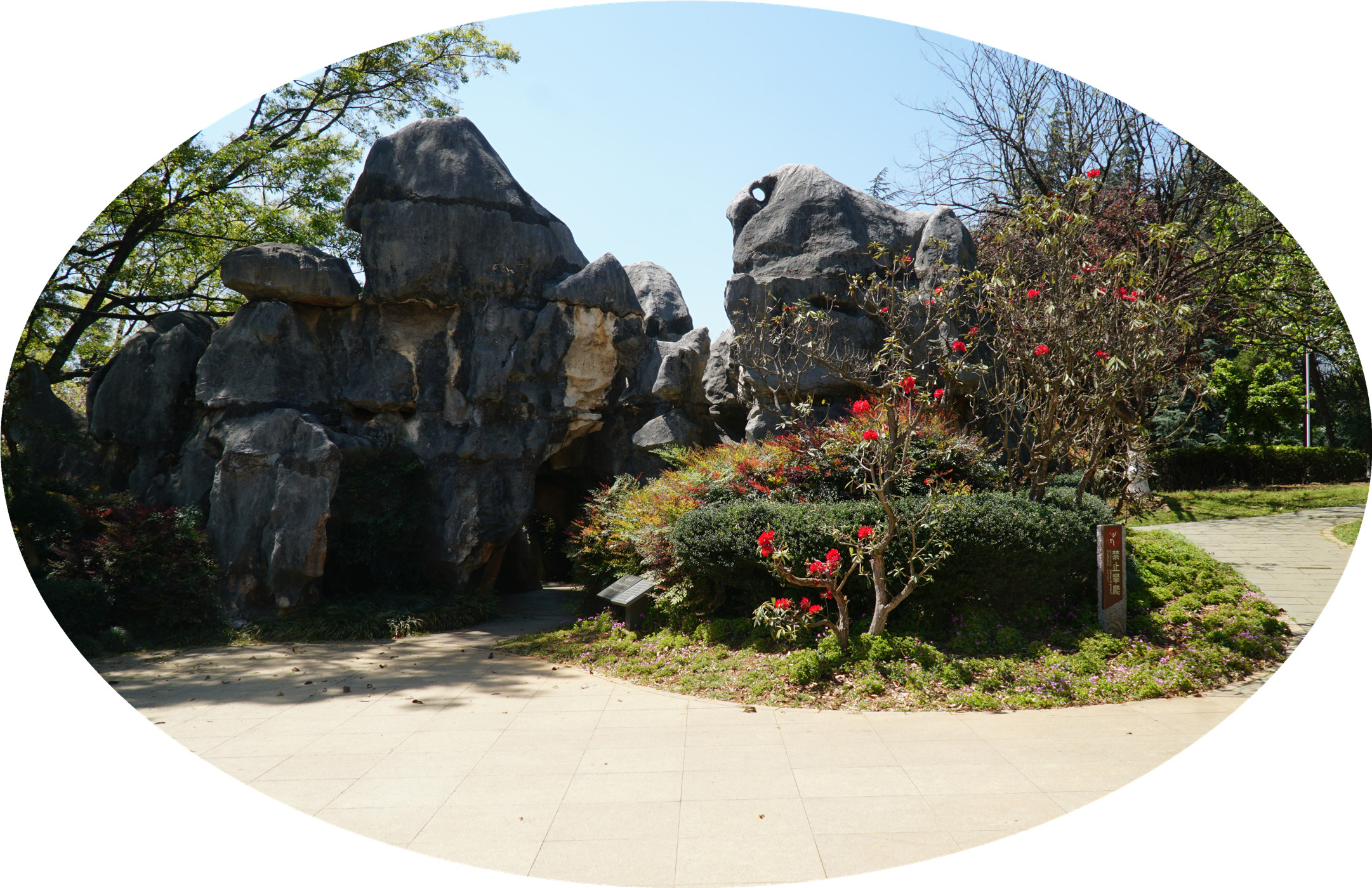 DSC05009.jpg