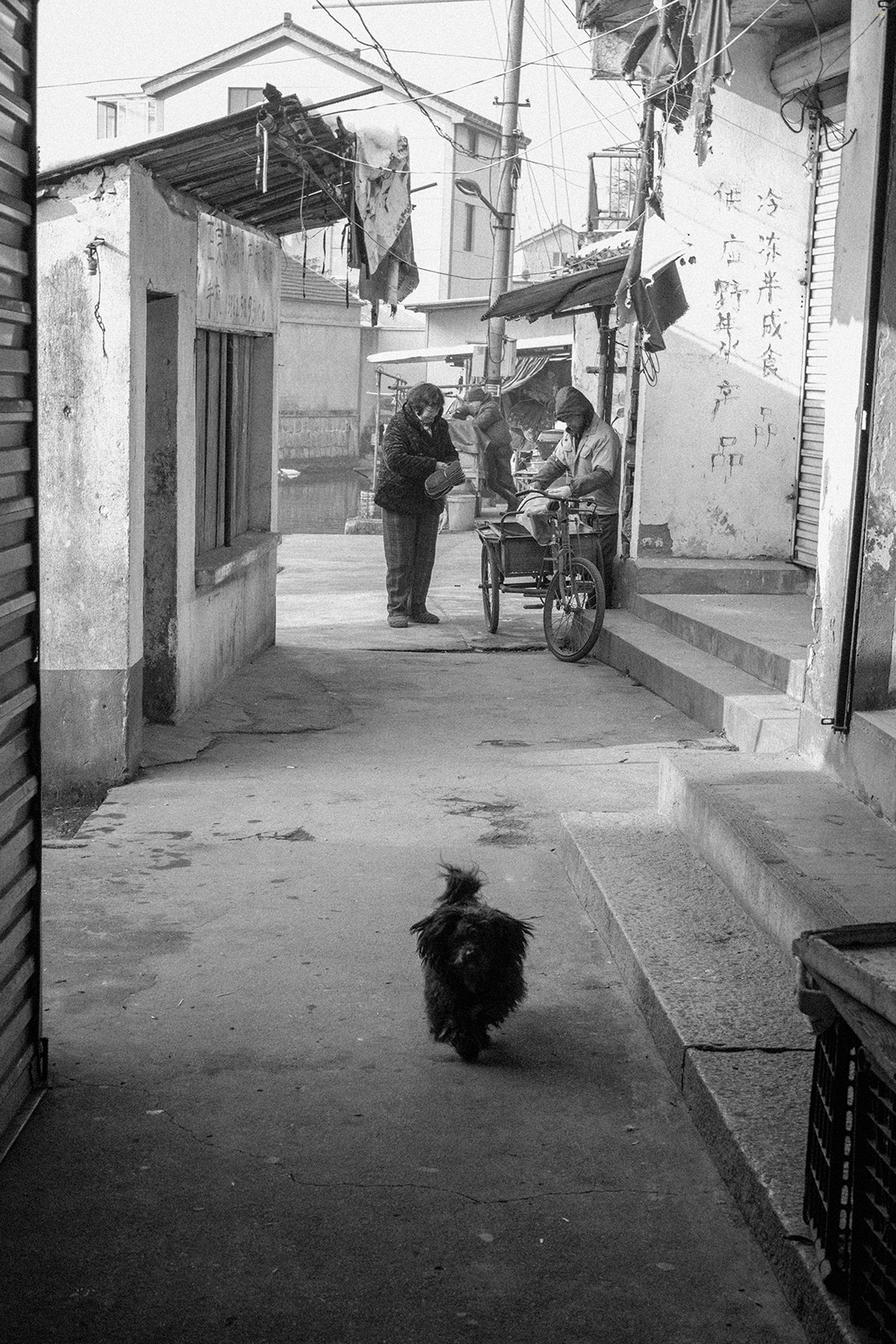 L1005227.jpg