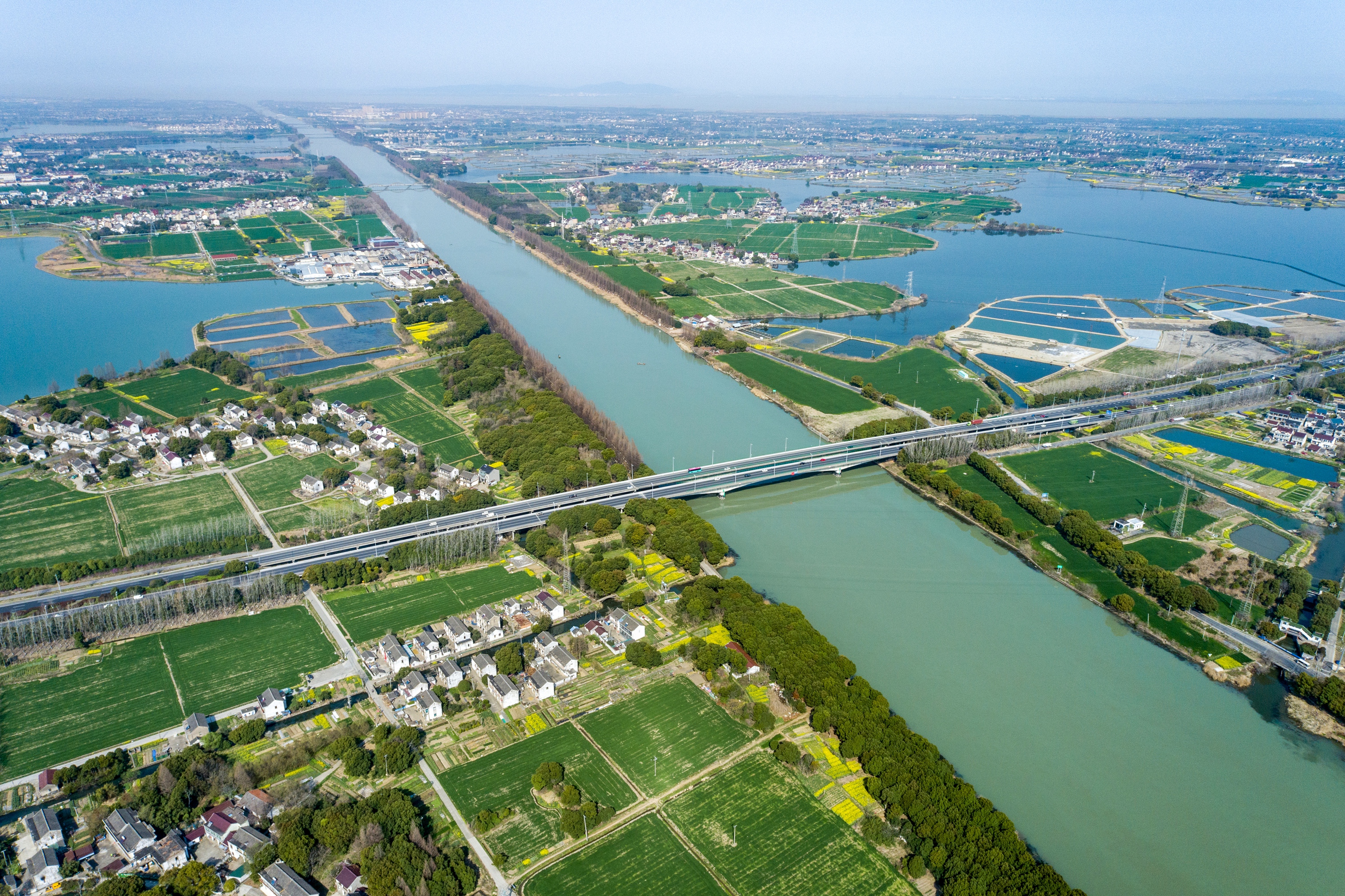 DJI_0589春到太浦河.jpg