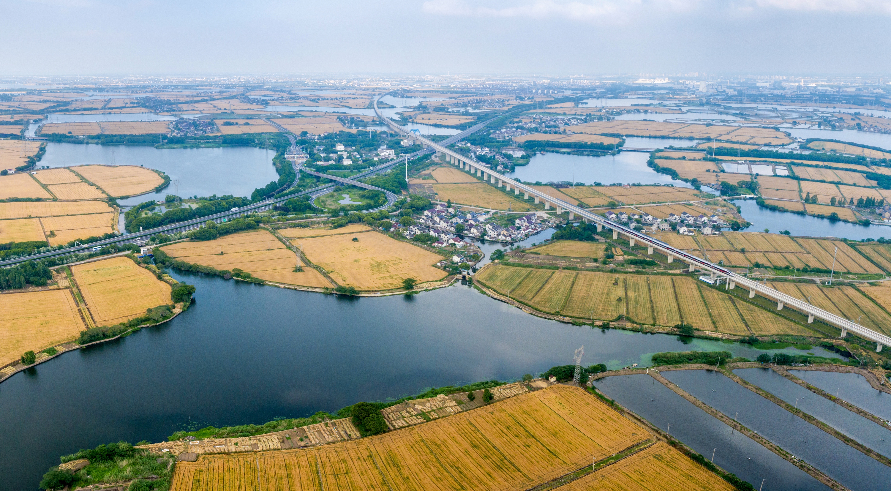 DJI_0180-Pano江南麦香时.jpg
