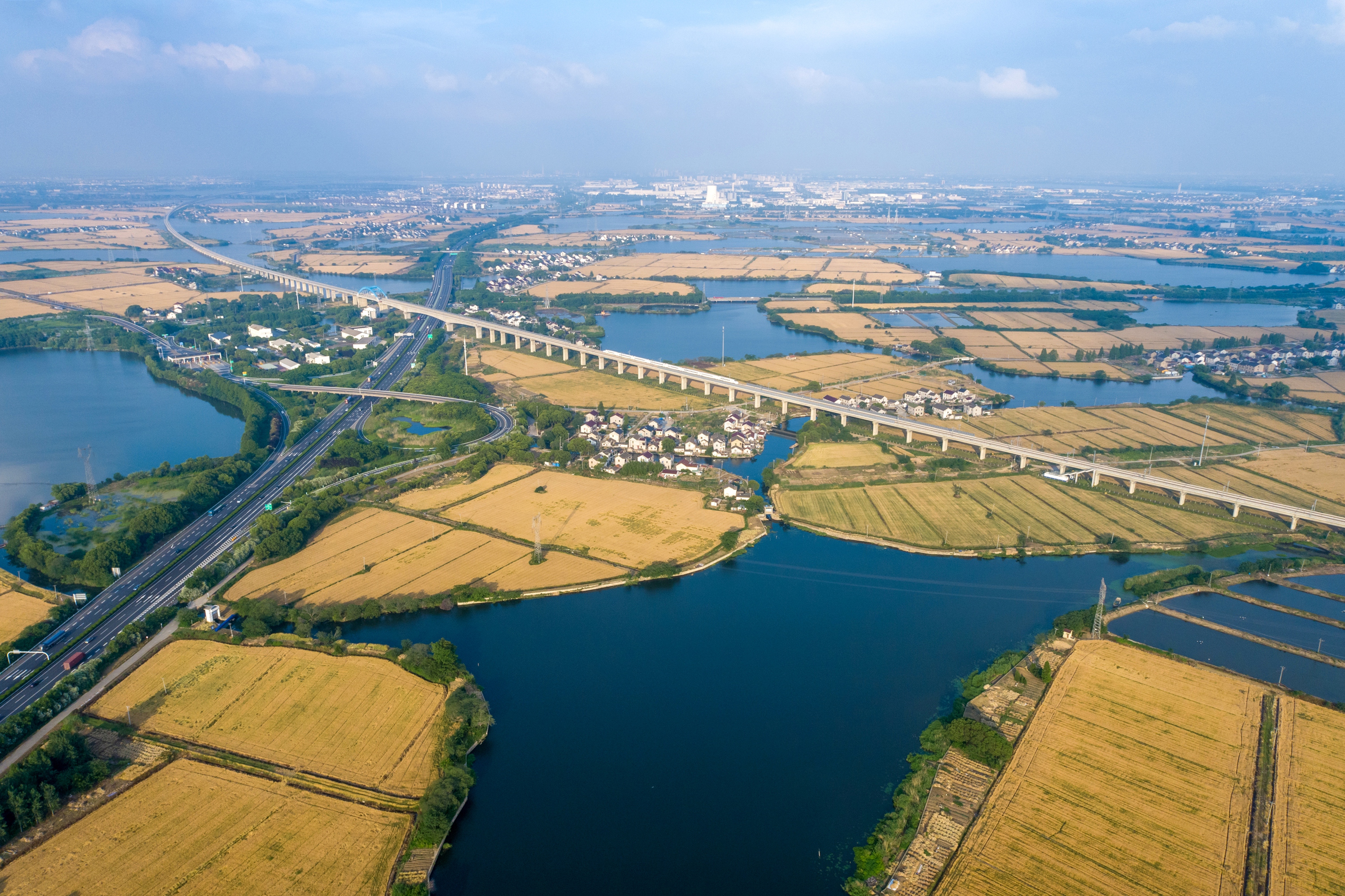 DJI_0195初夏的江南.jpg