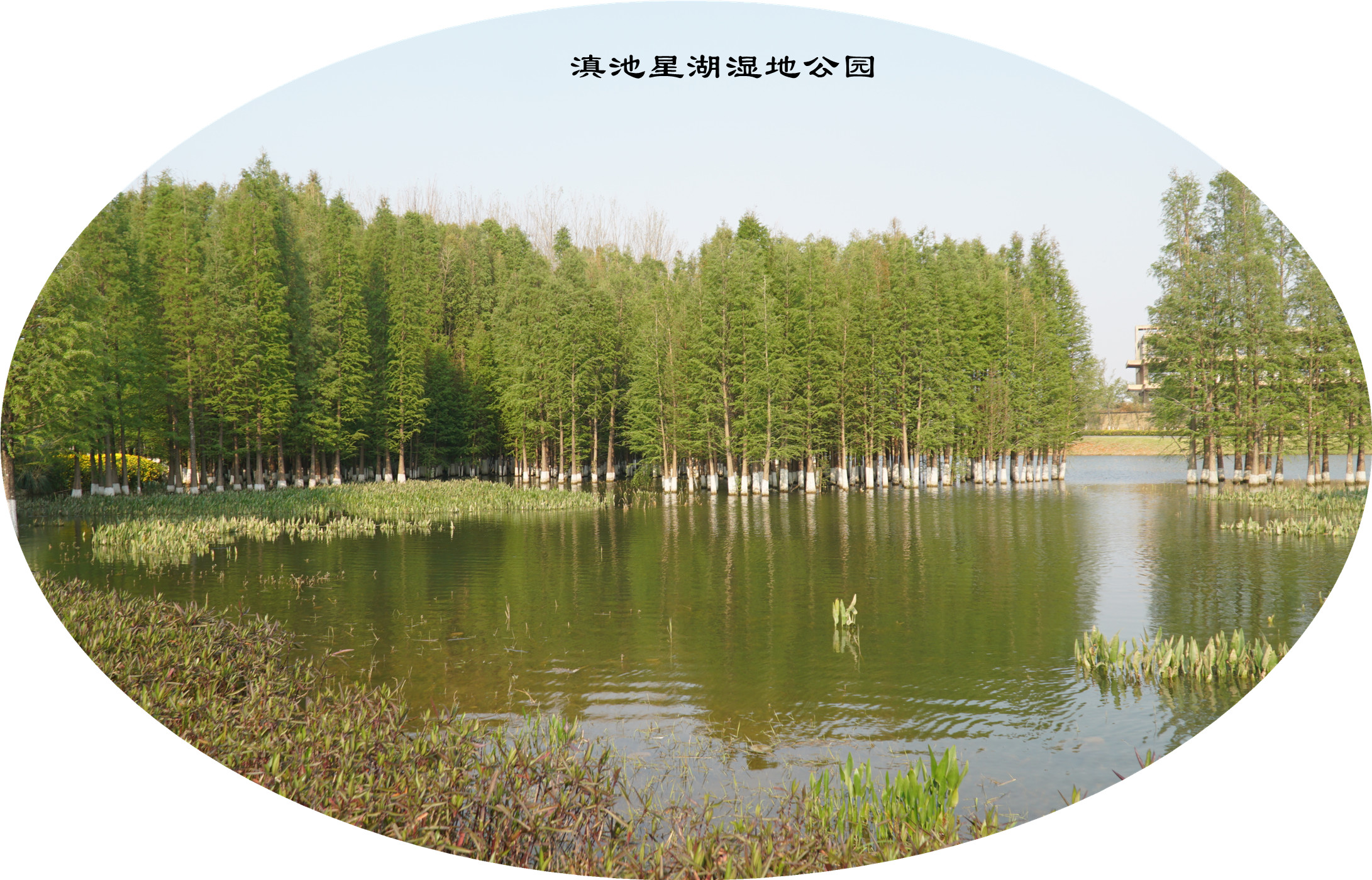 DSC05340.jpg