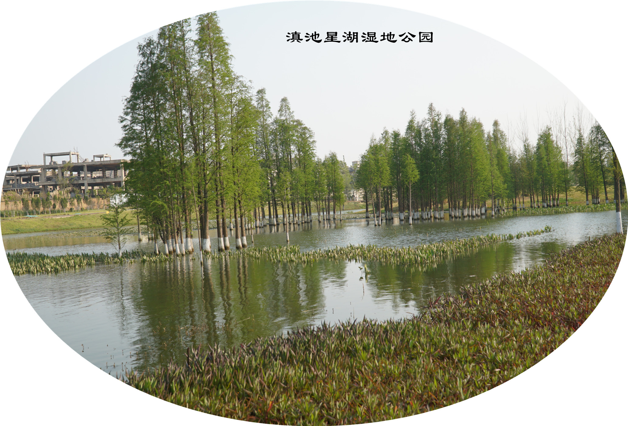 DSC05339.jpg