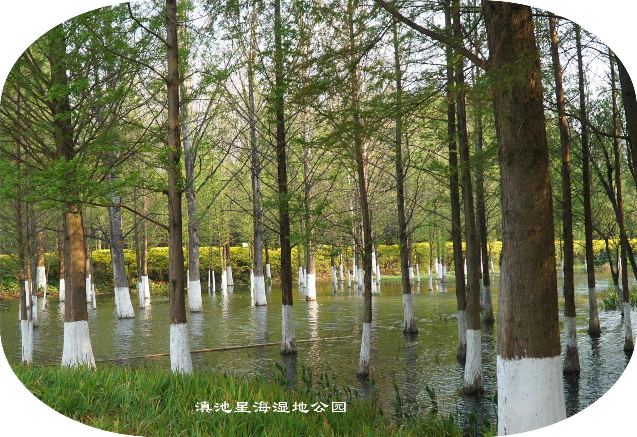 DSC05346.jpg