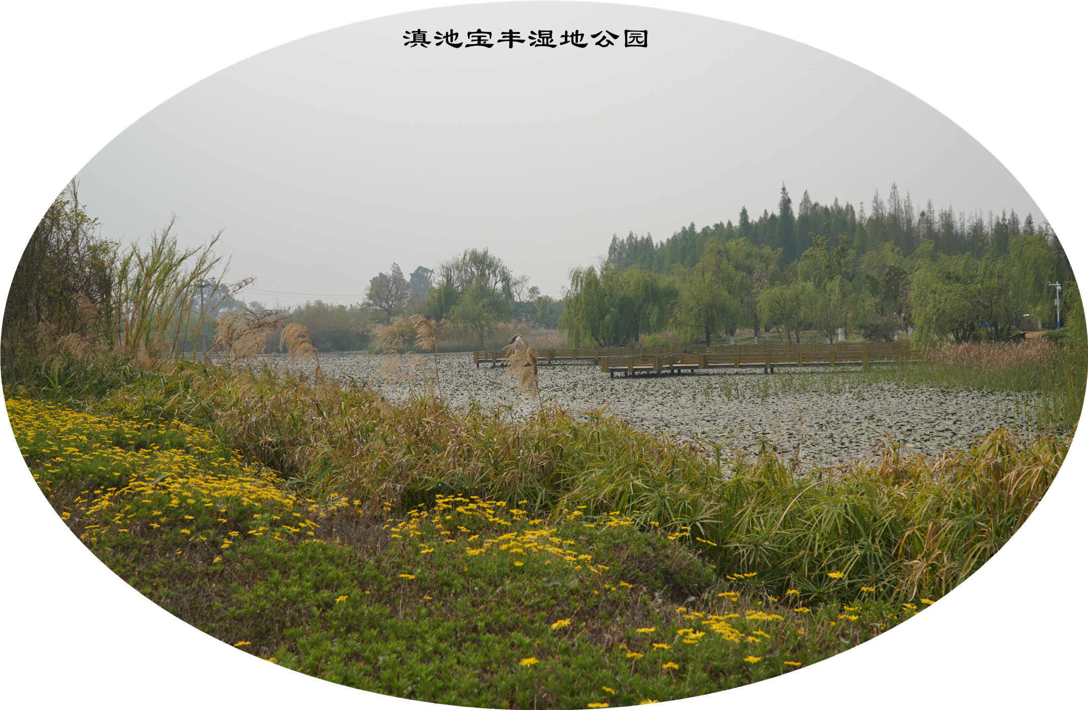 DSC05352.jpg