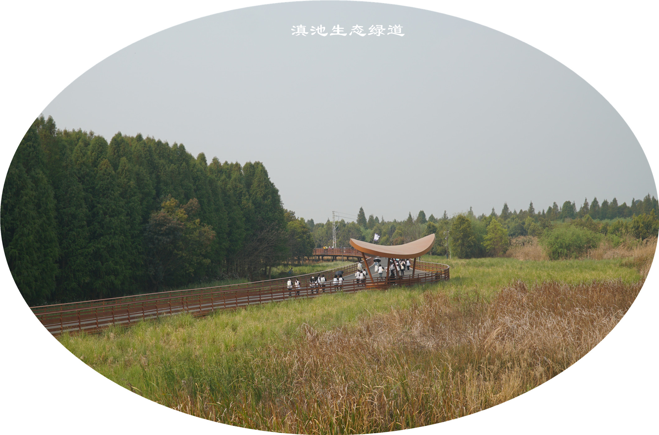 DSC05367.jpg