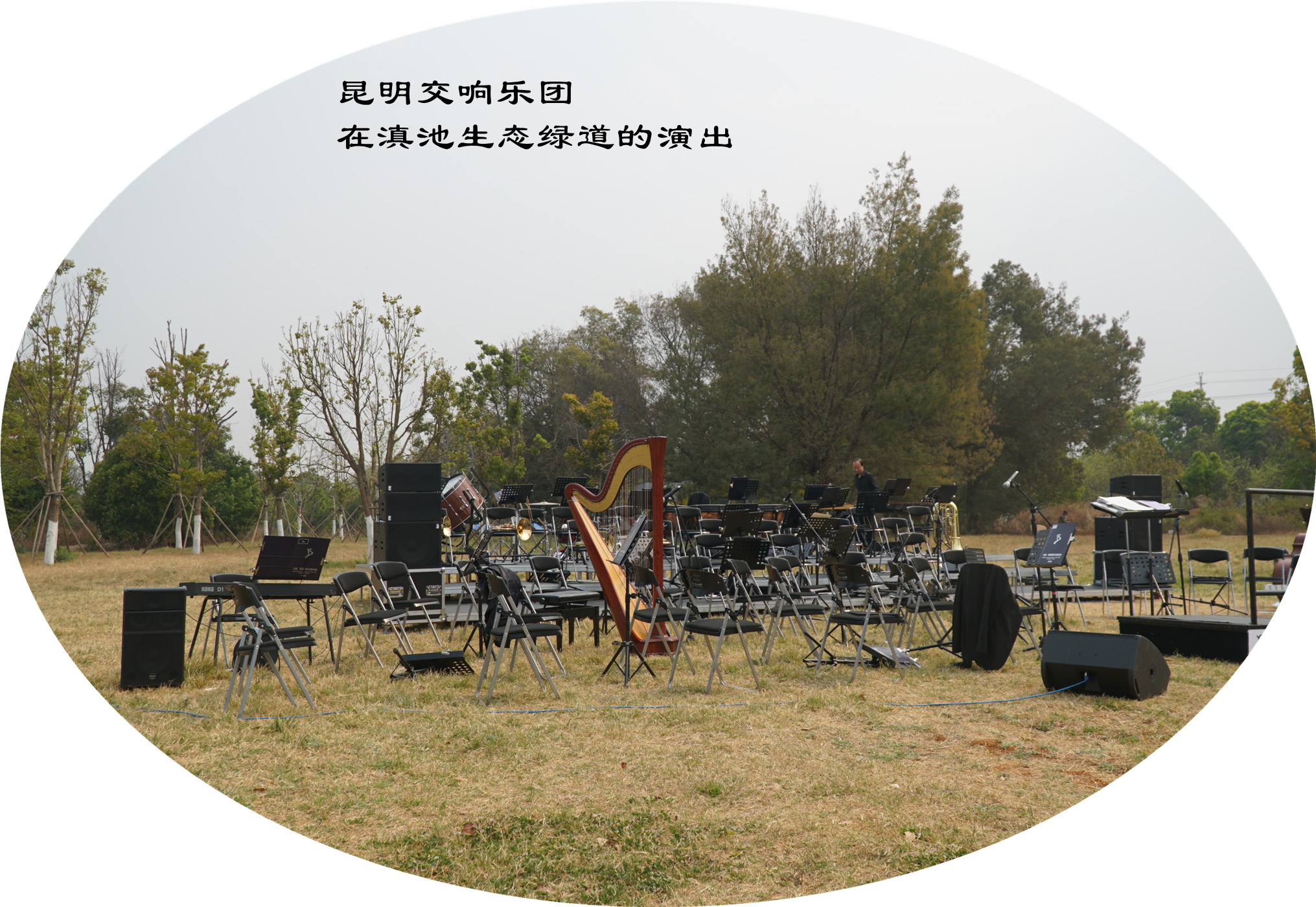 DSC05373.jpg