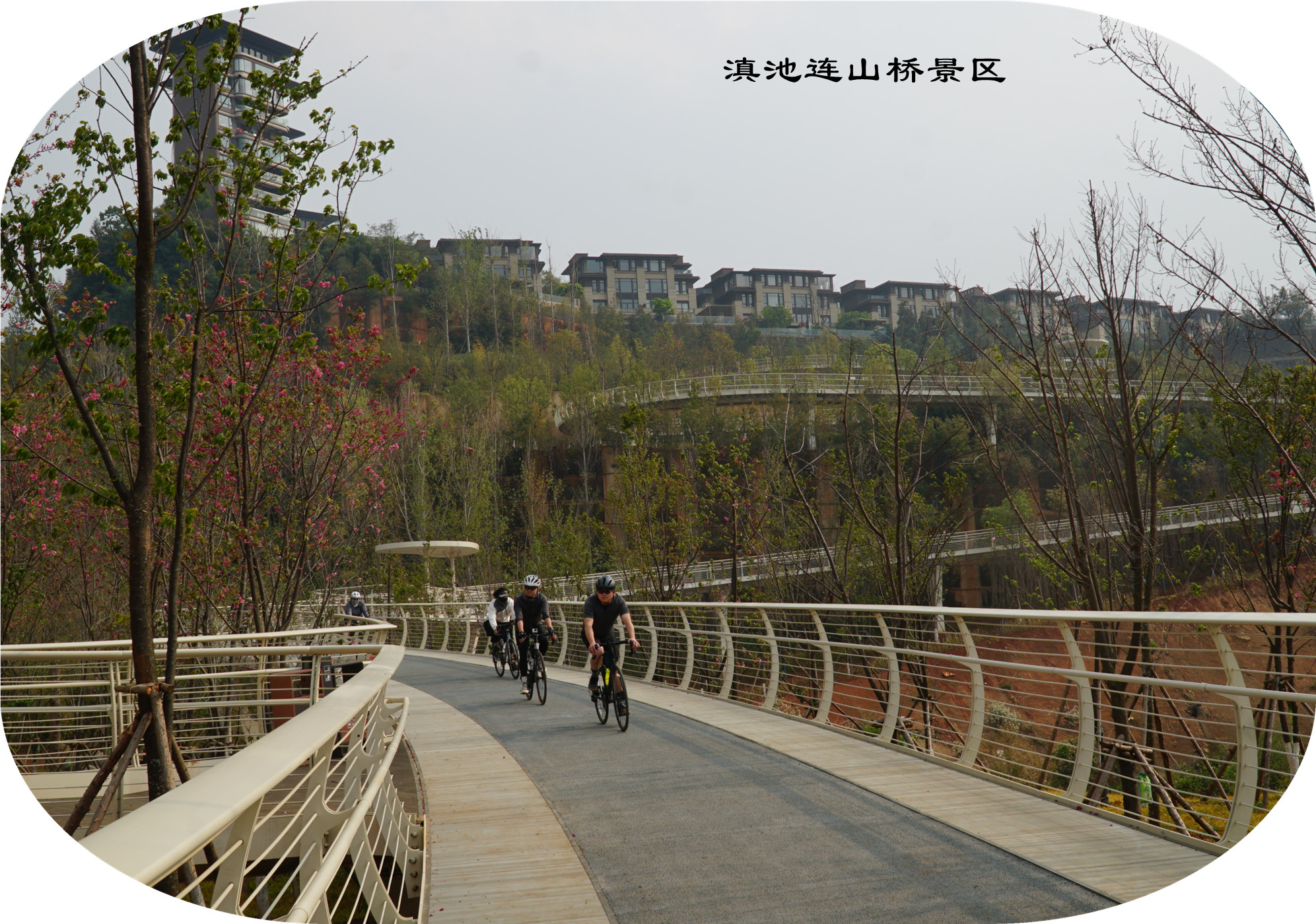DSC05470.jpg