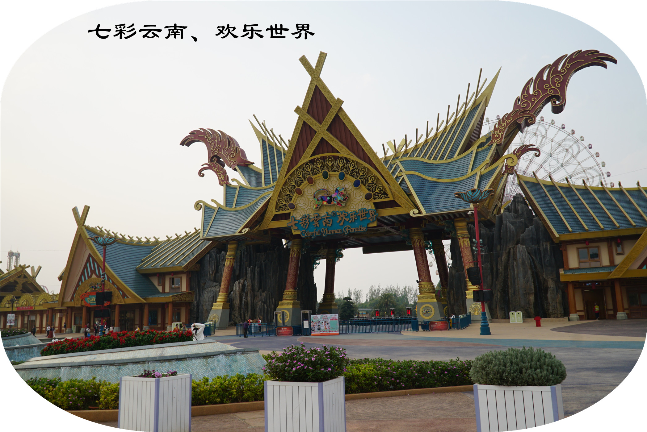 DSC05485.jpg