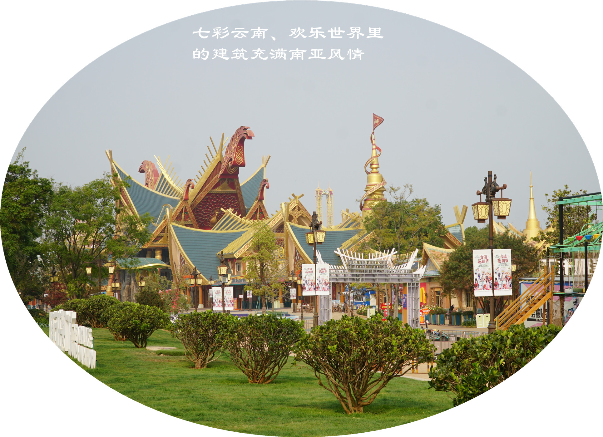 DSC05503.jpg