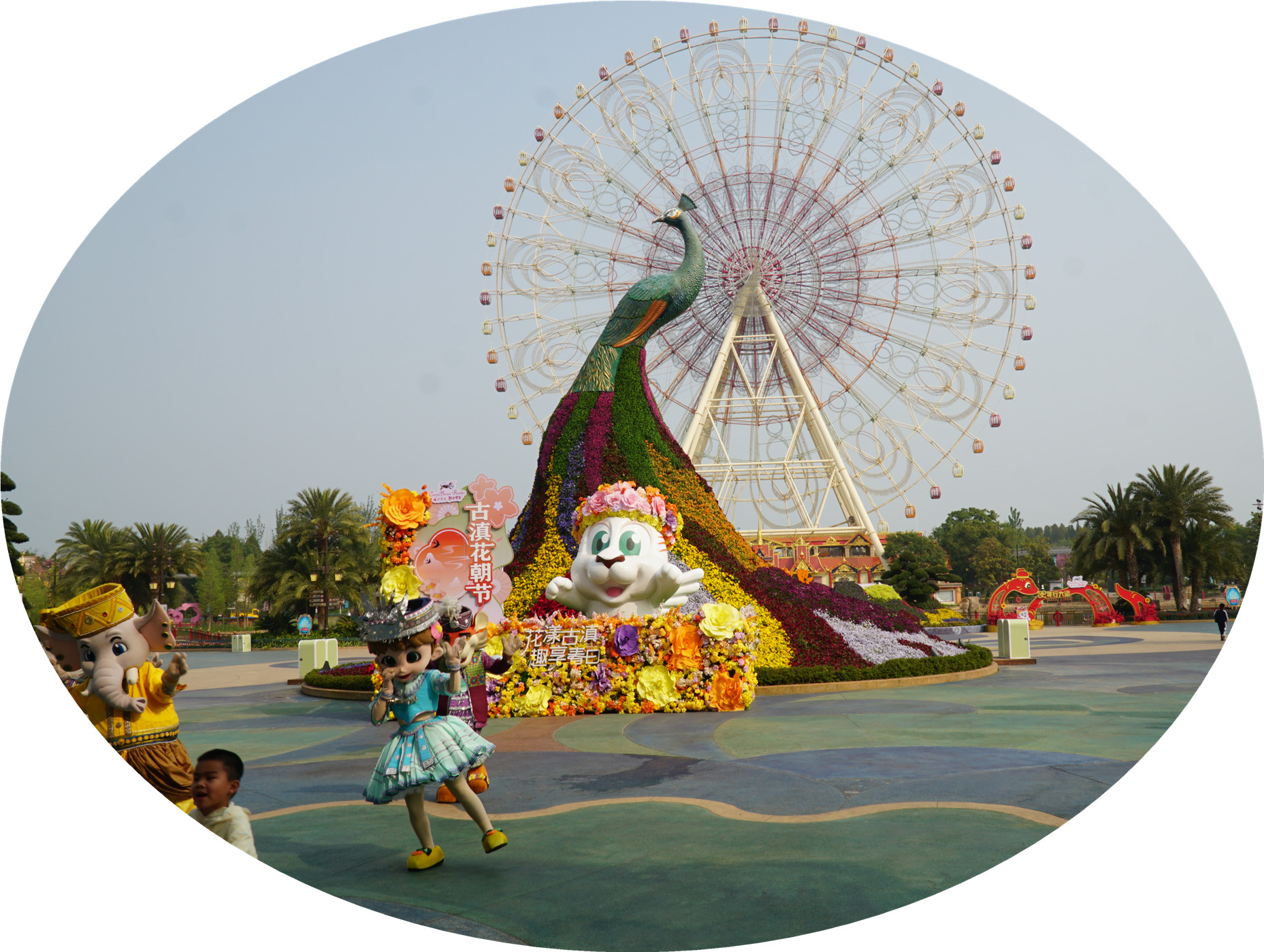 DSC05505.jpg