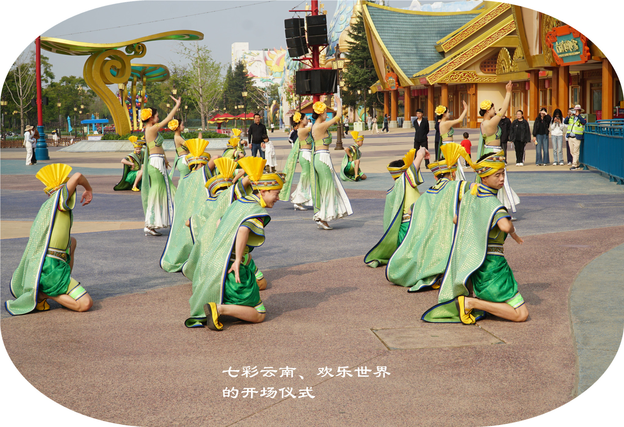 DSC05504.jpg