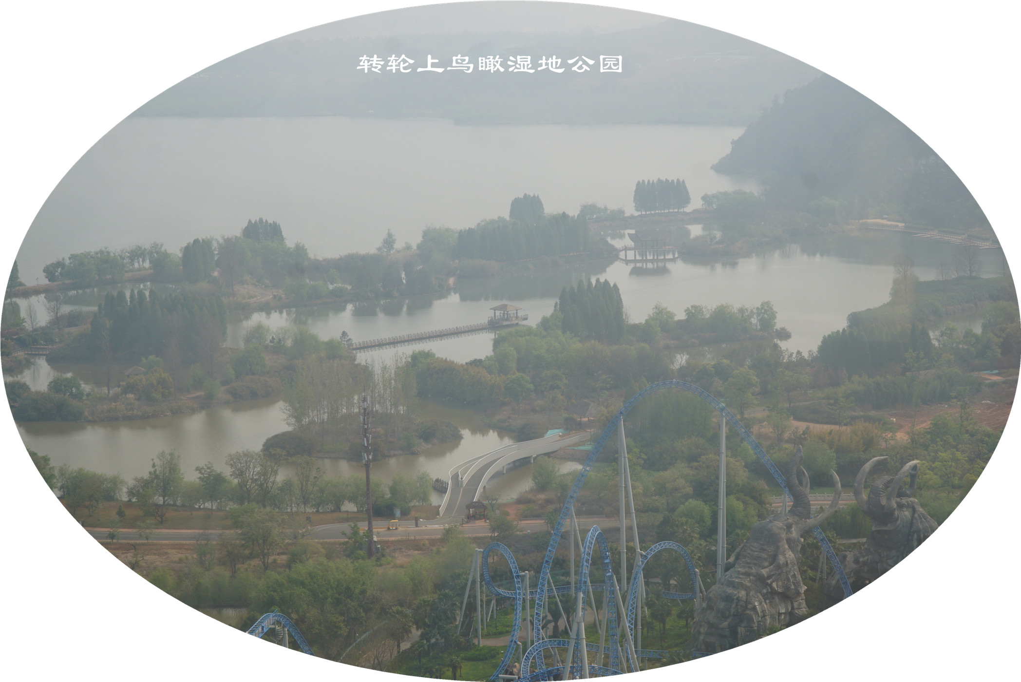 DSC05524.jpg