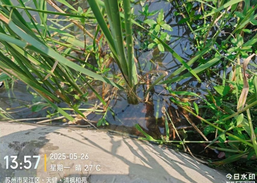 微信截图_20250527132830.png