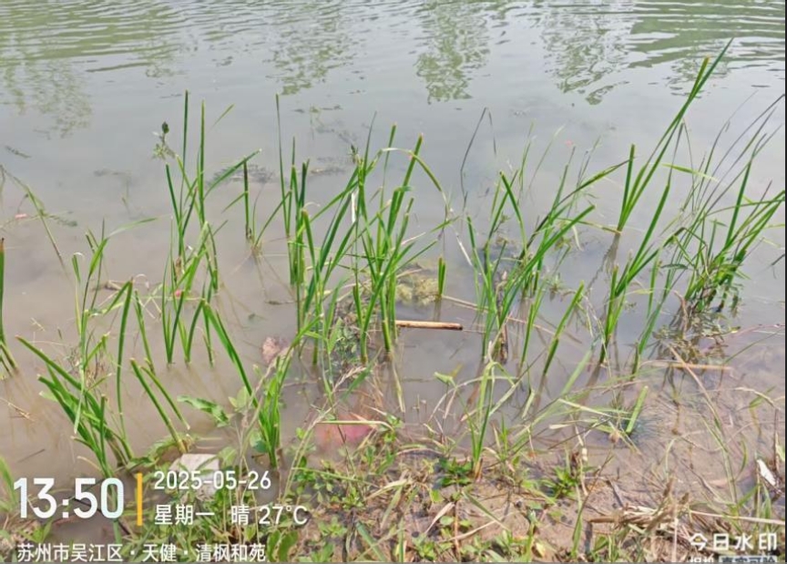微信截图_20250527132847.png