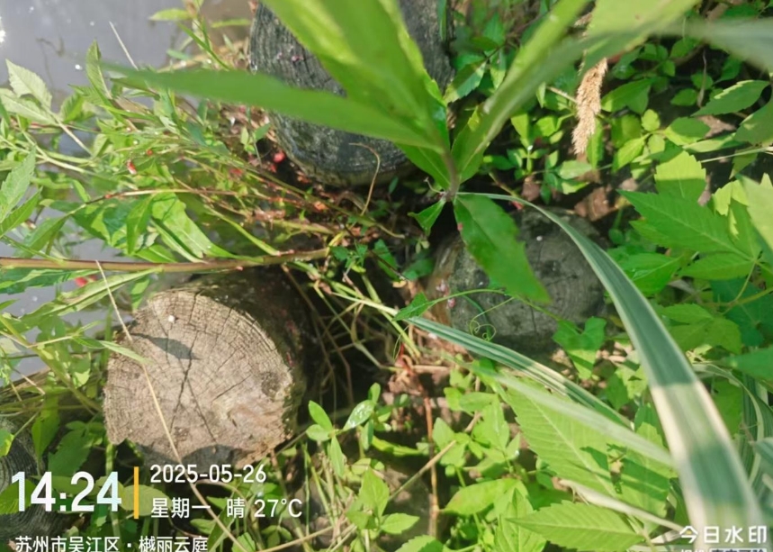 微信截图_20250527132753.png