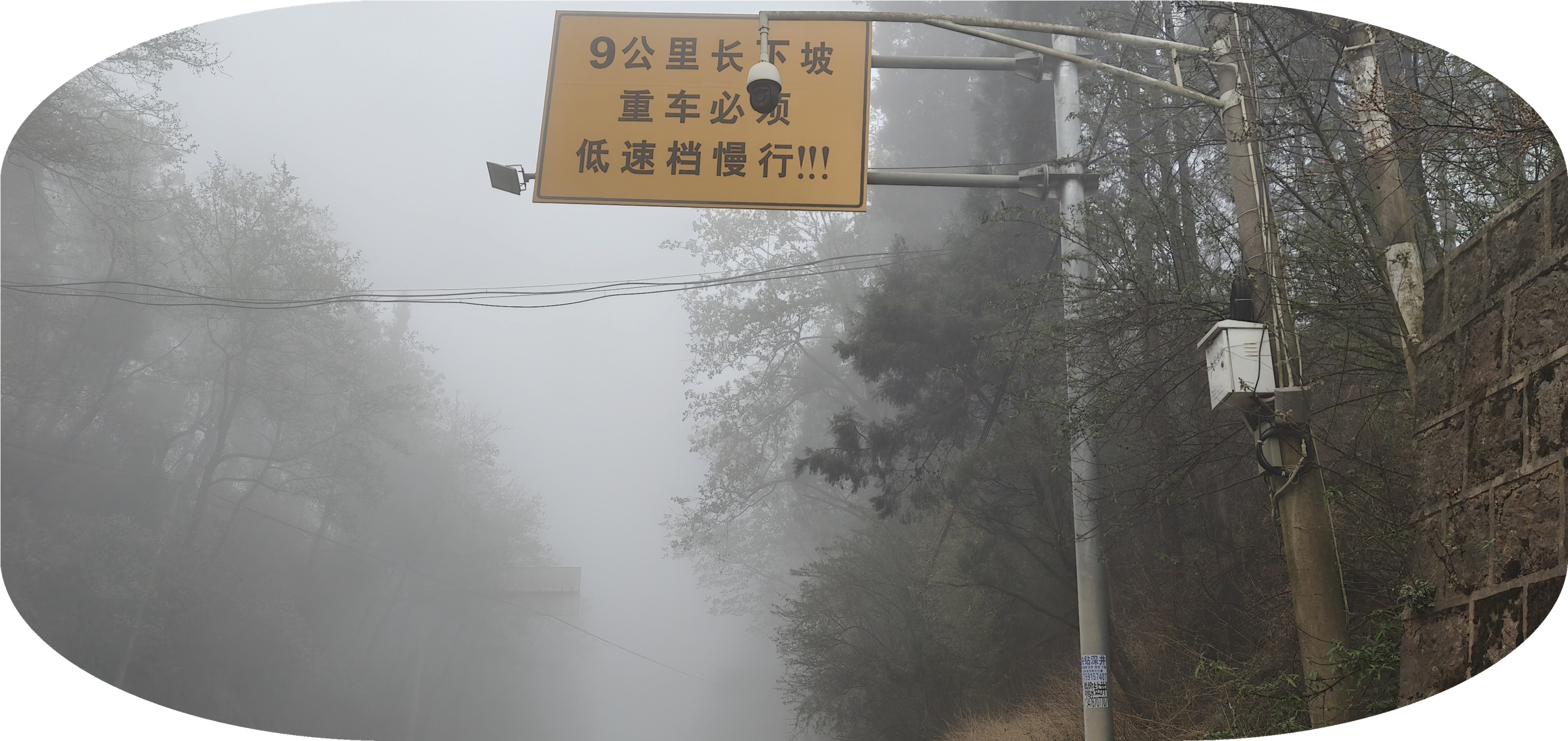 IMG20250331100410.jpg