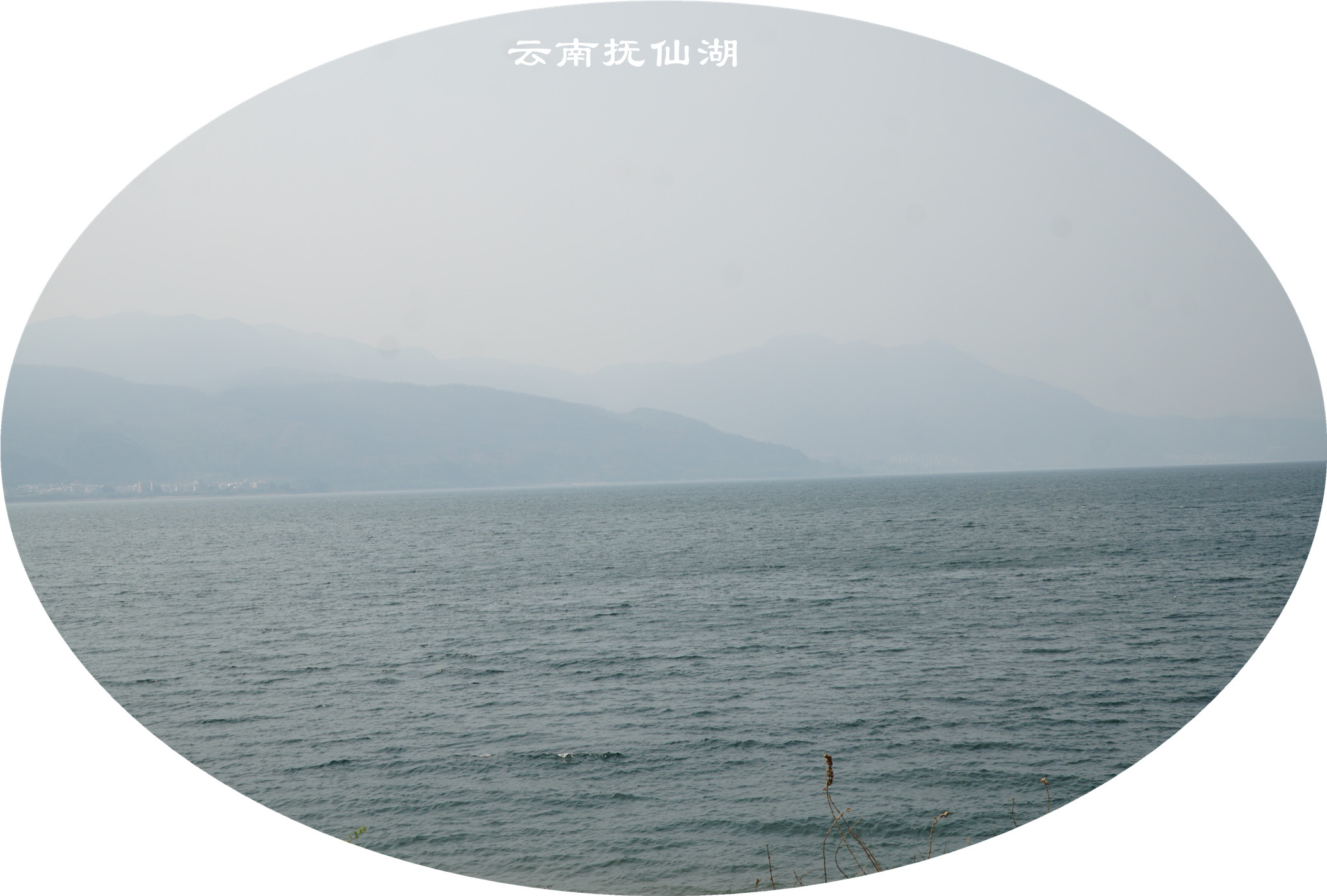 DSC05690.jpg