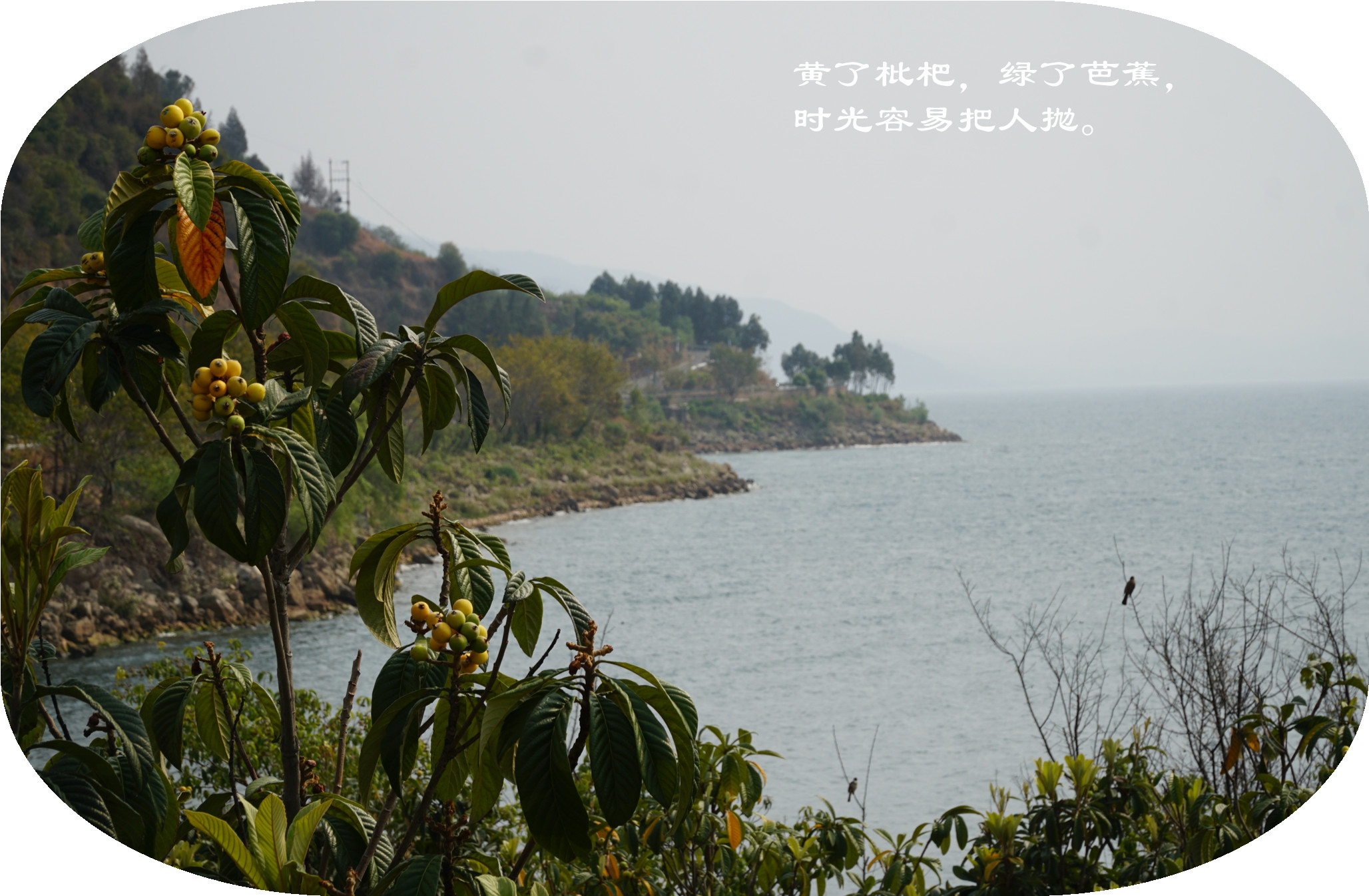 DSC05694.jpg