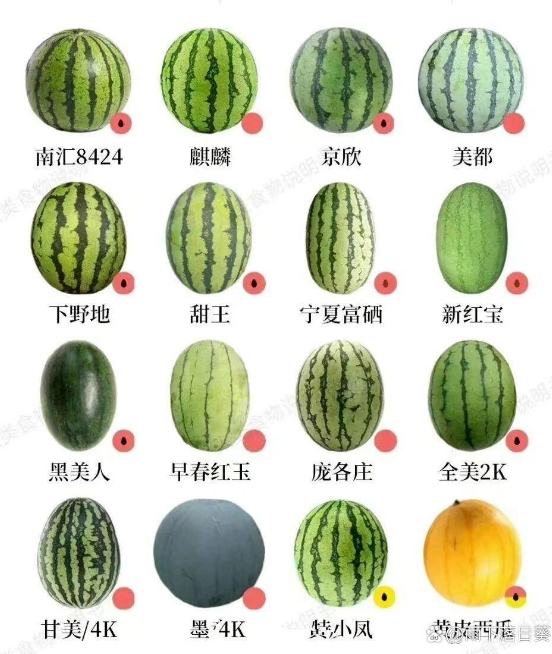 8424
