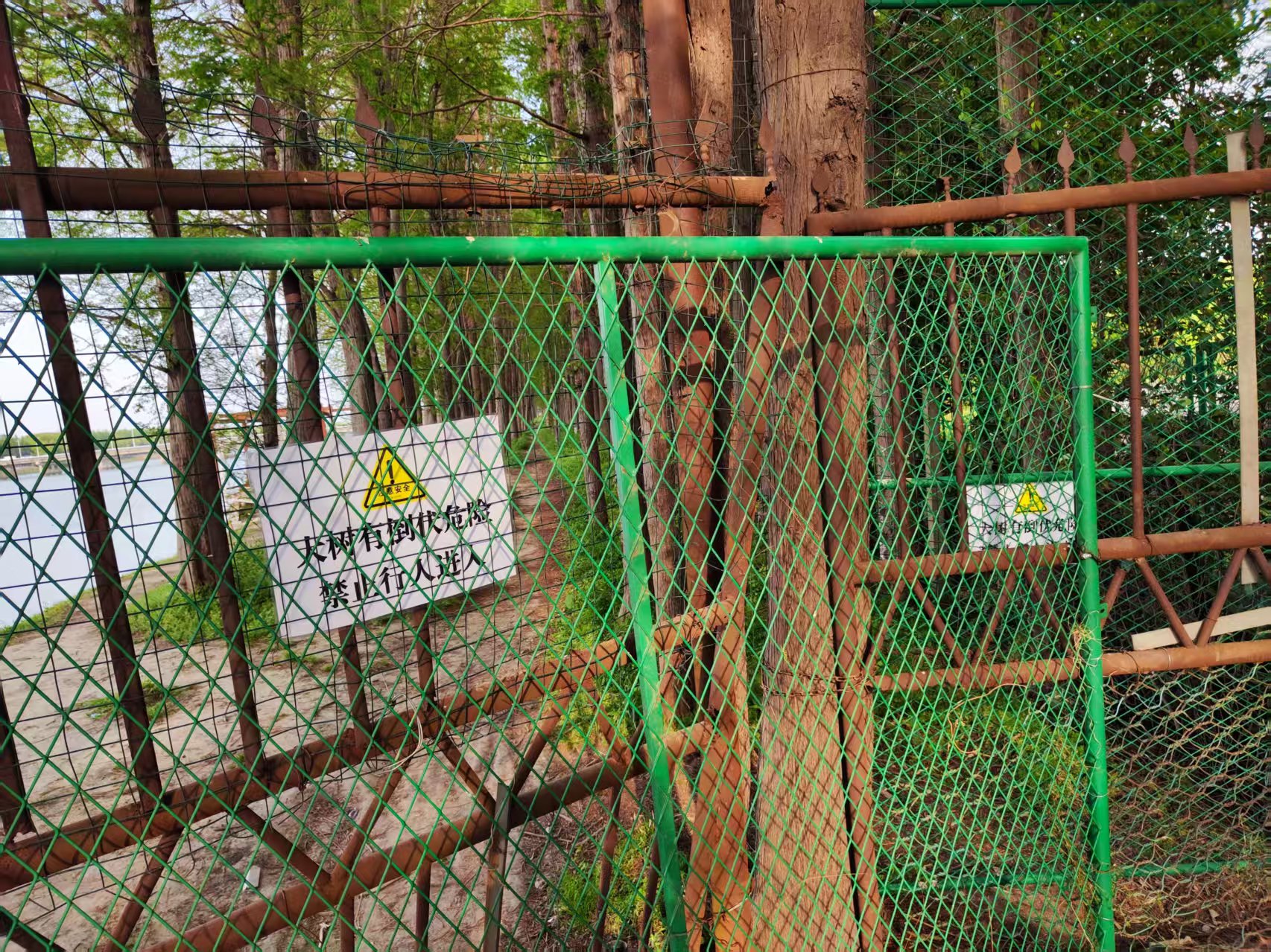 微信图片_20250528142657.jpg