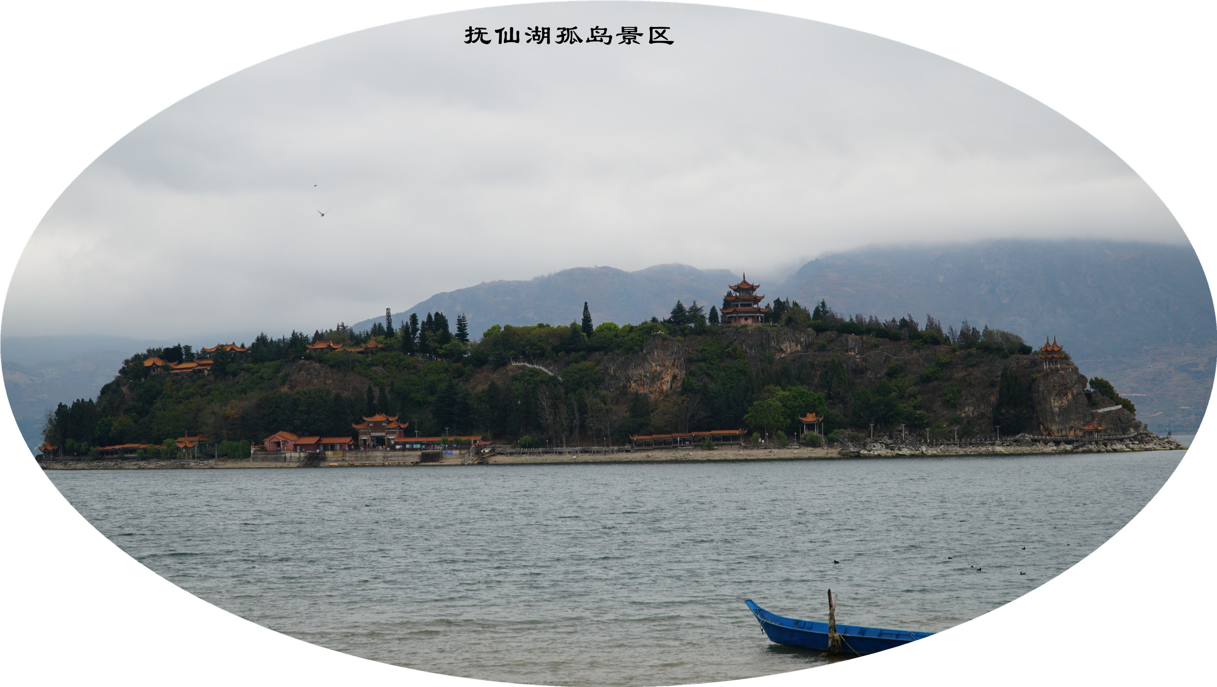 DSC05709.jpg