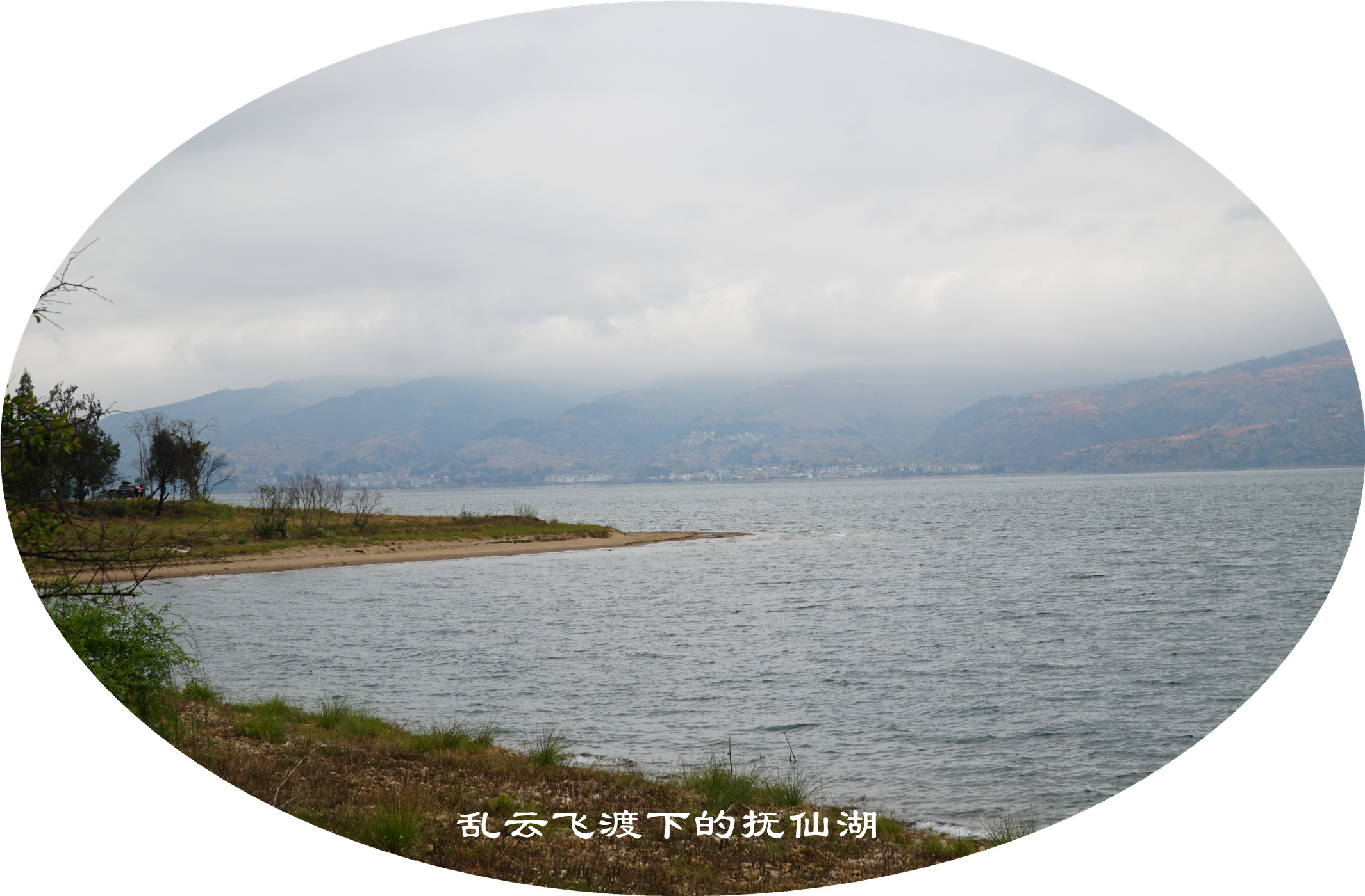 DSC05725.jpg