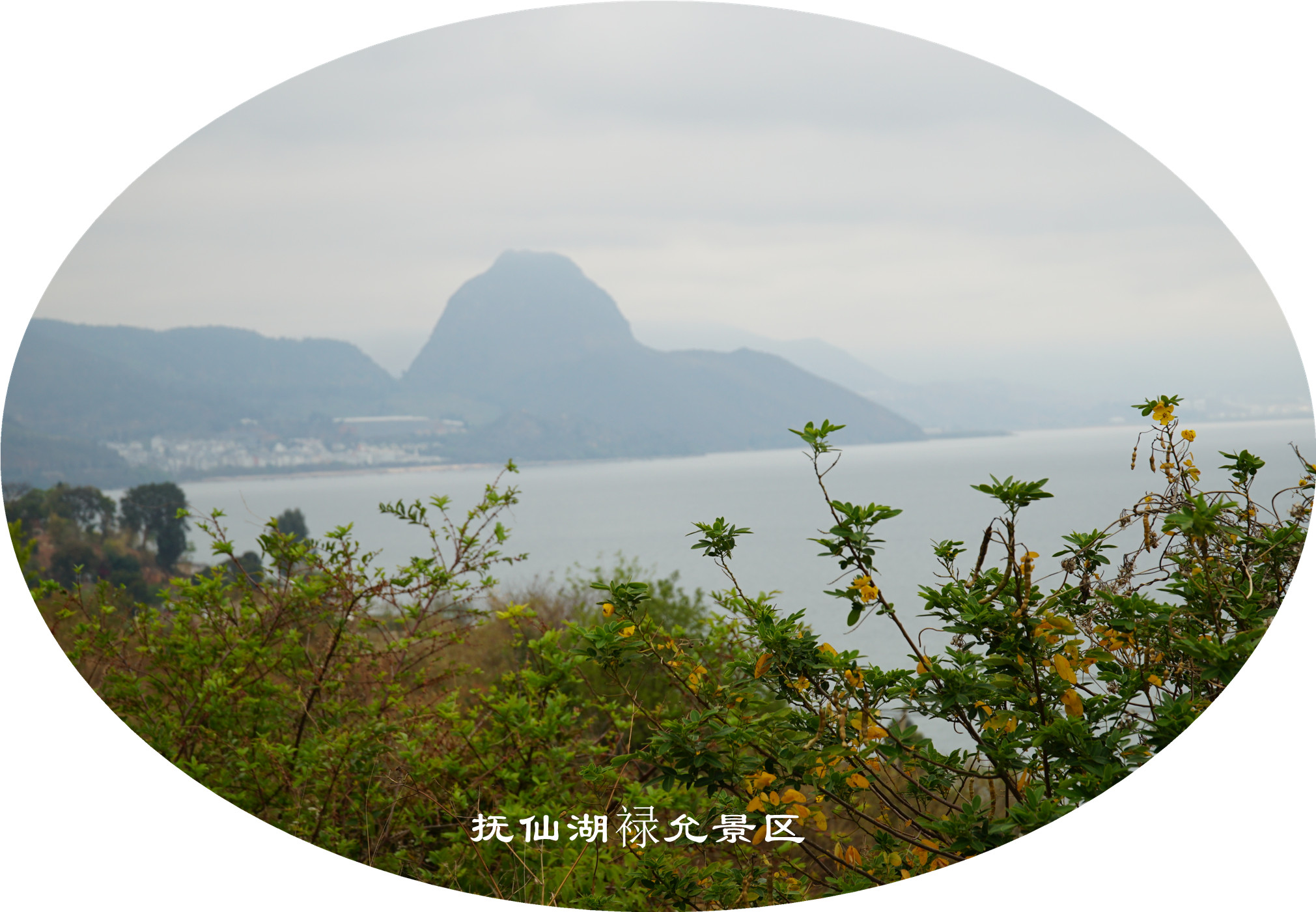DSC05734.jpg