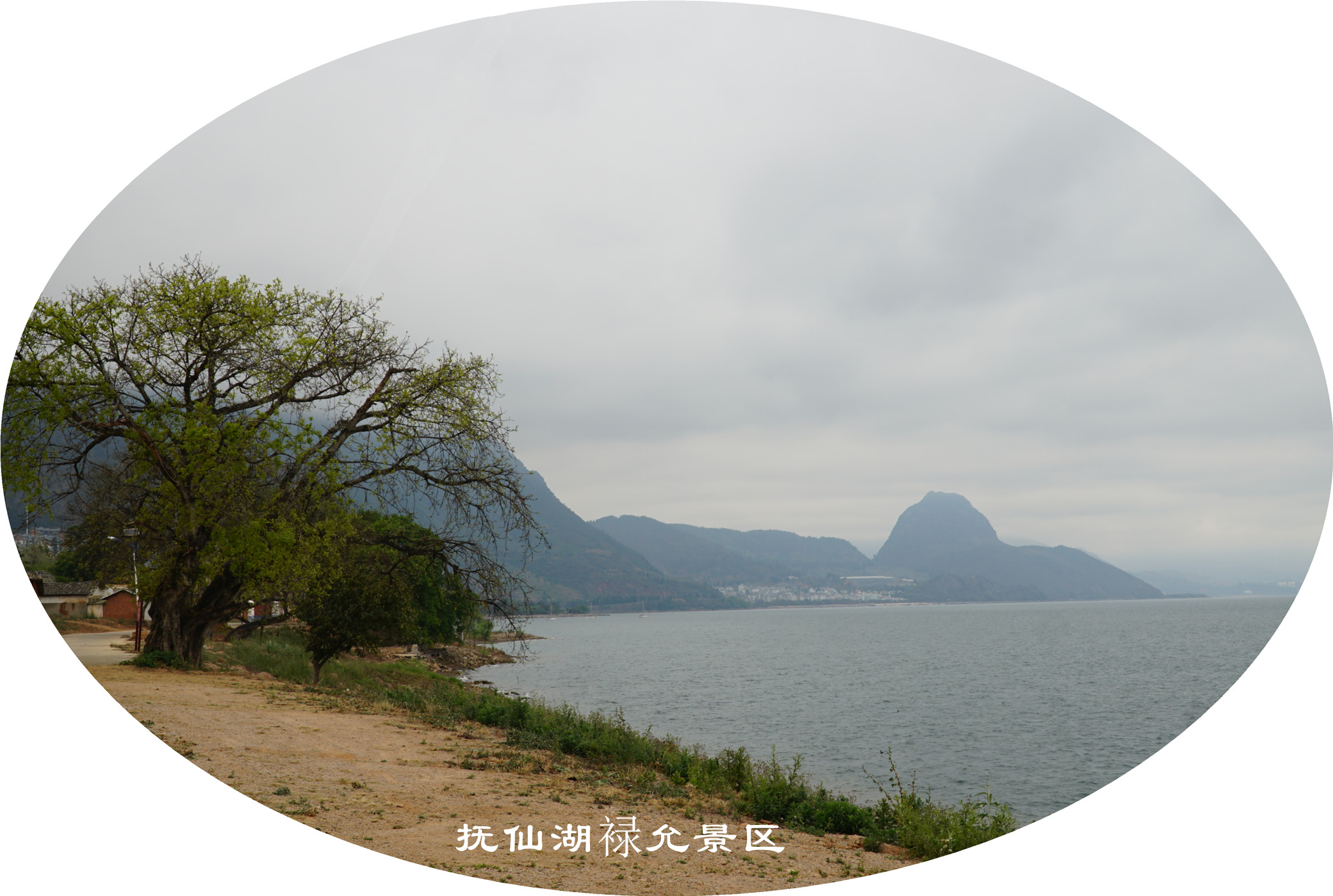 DSC05735.jpg