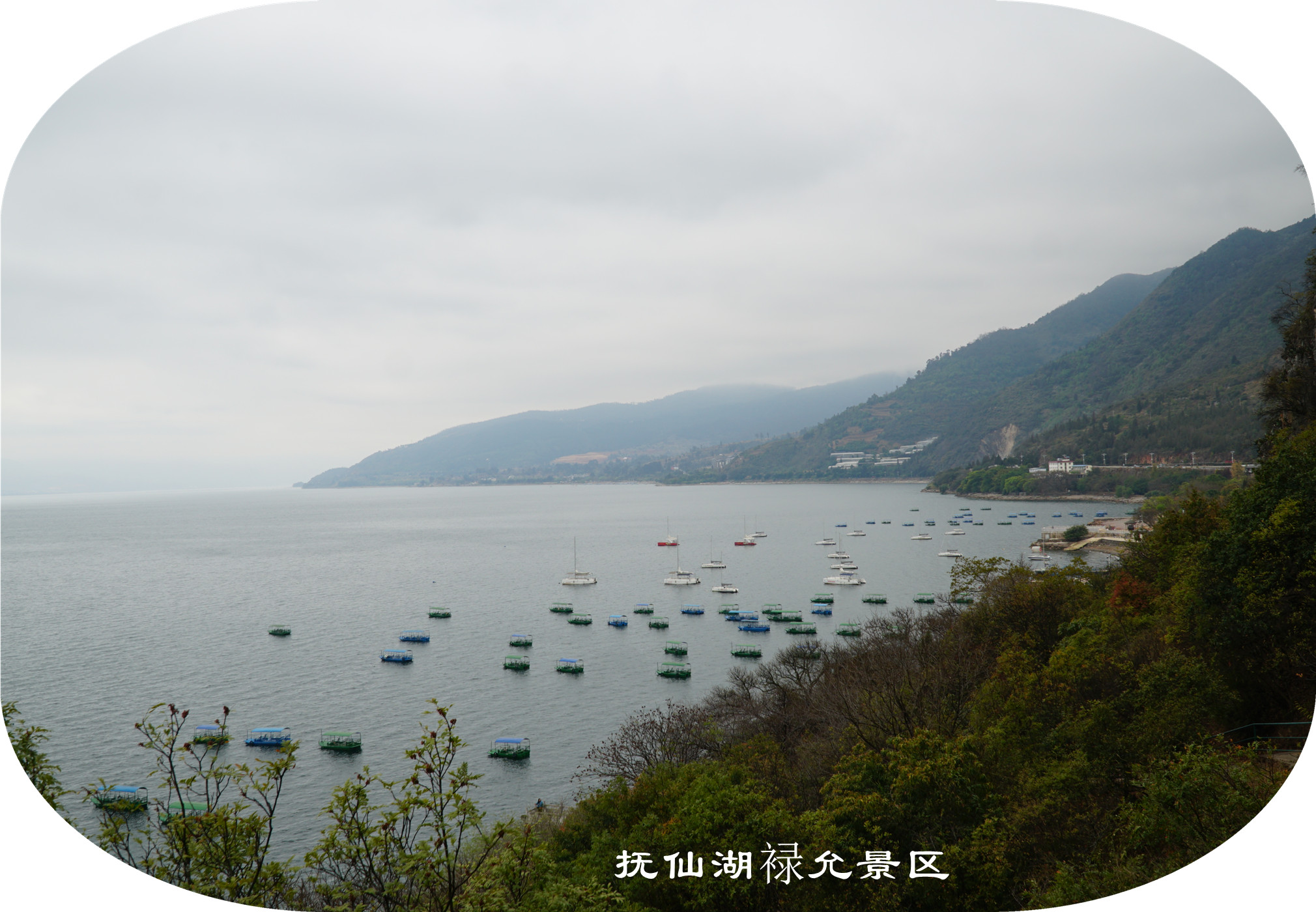 DSC05751.jpg