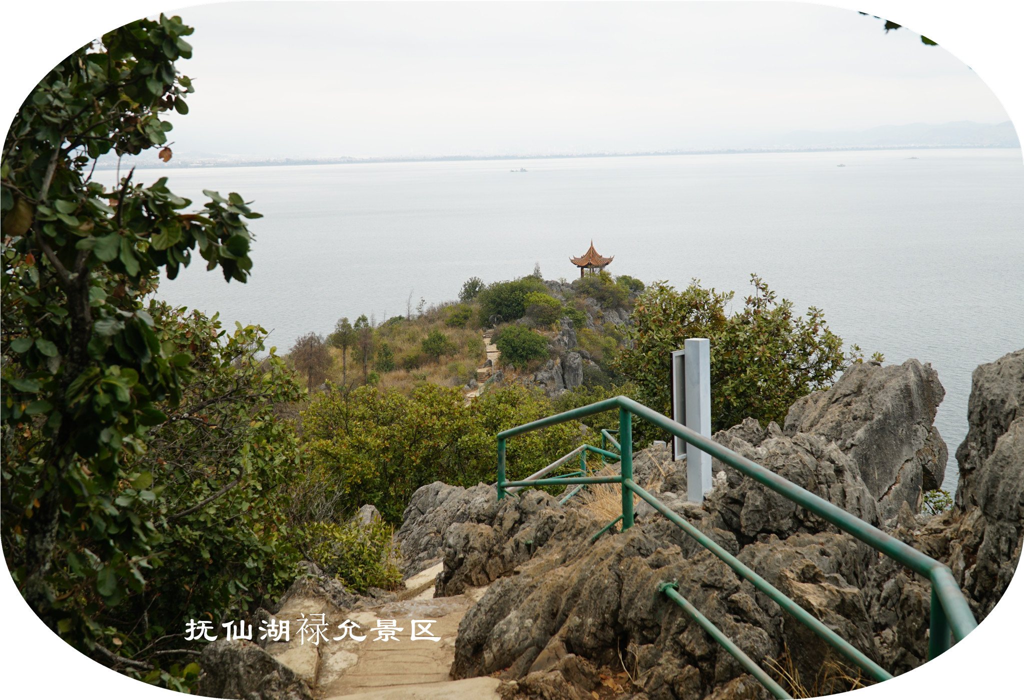 DSC05759.jpg