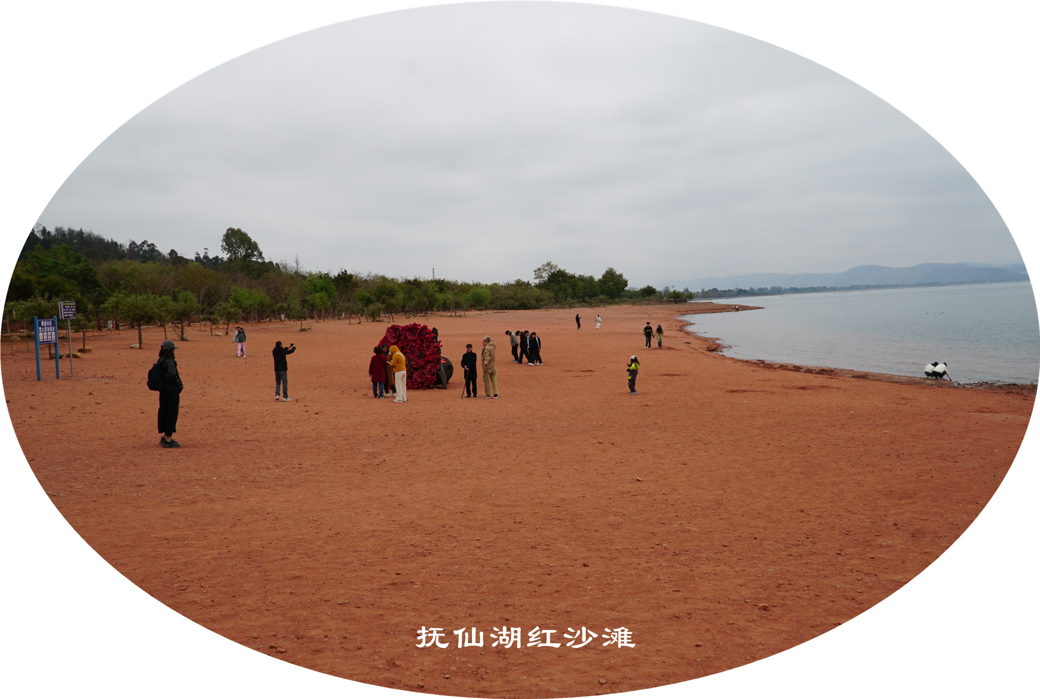 DSC05764.jpg