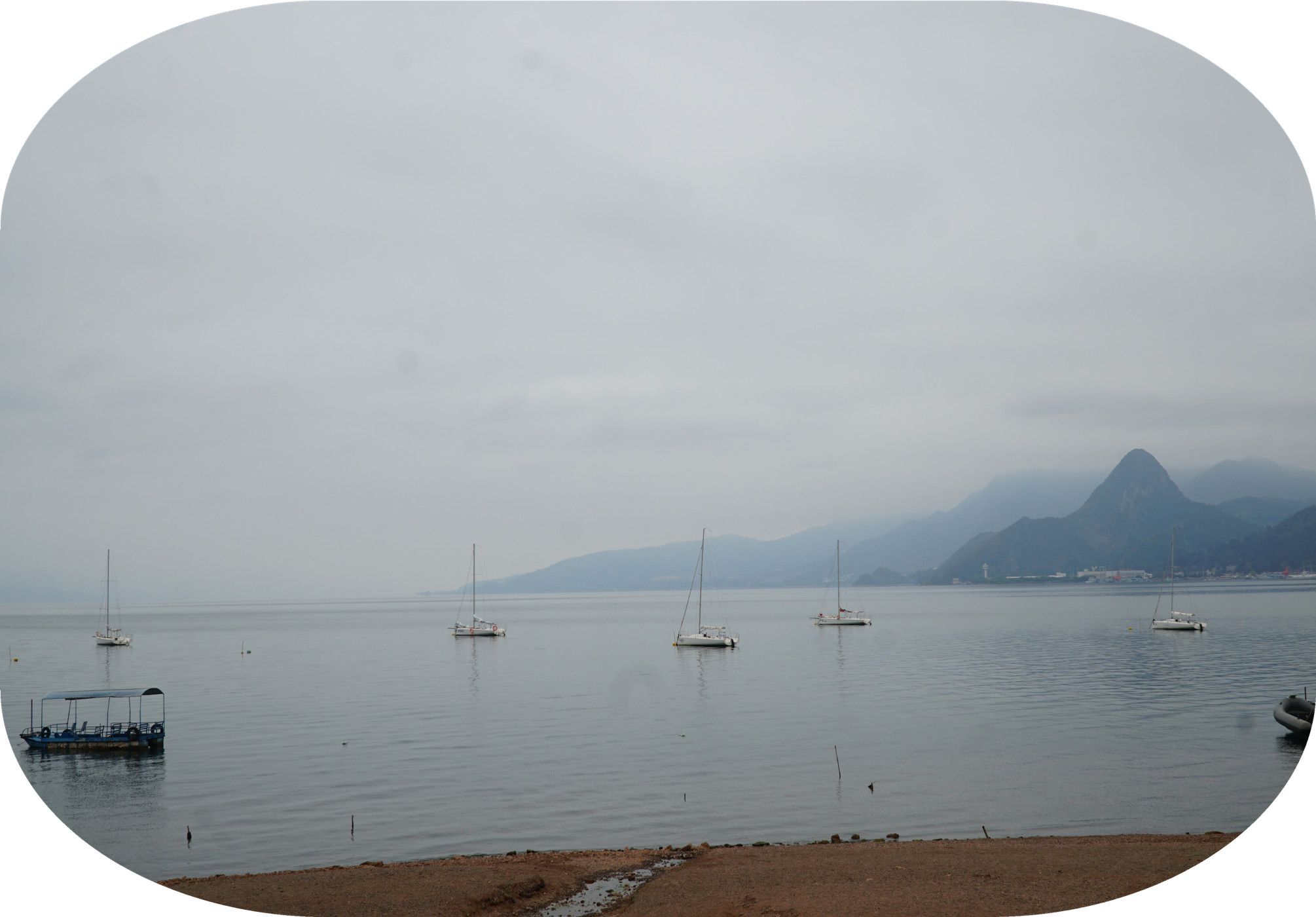 DSC05772.jpg