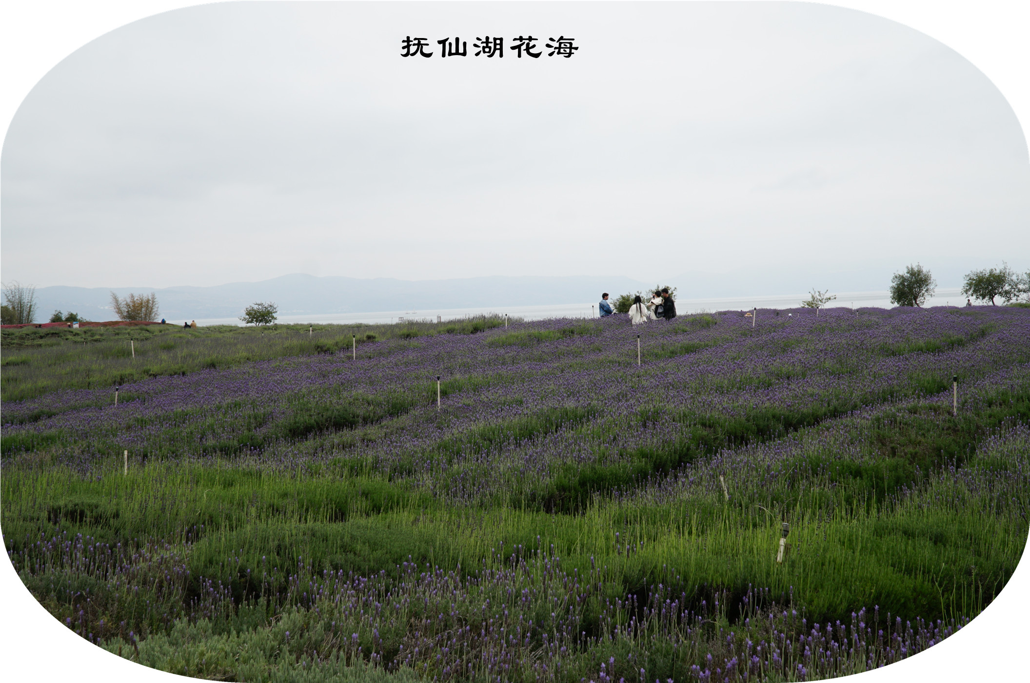 DSC05773.jpg