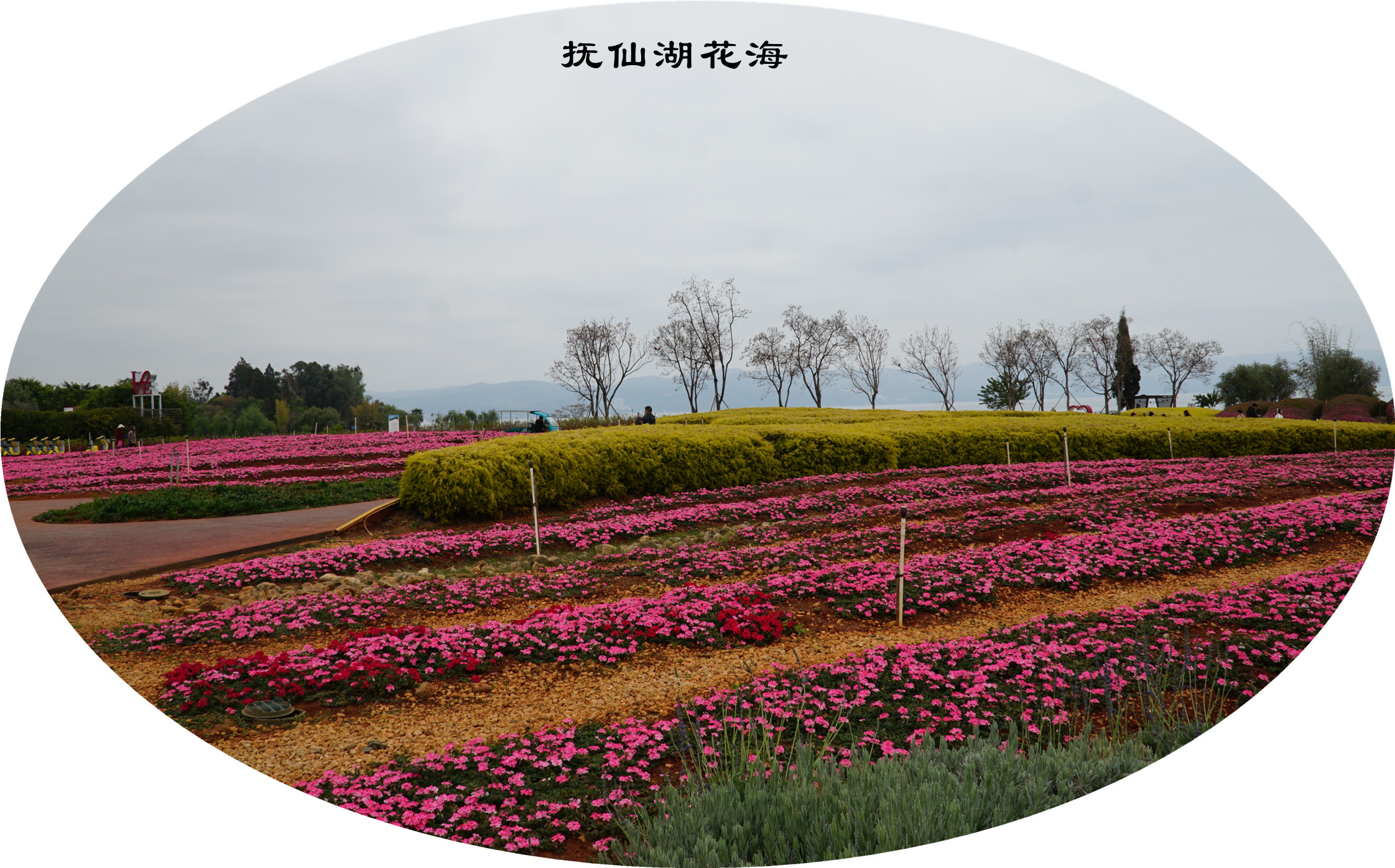 DSC05776.jpg