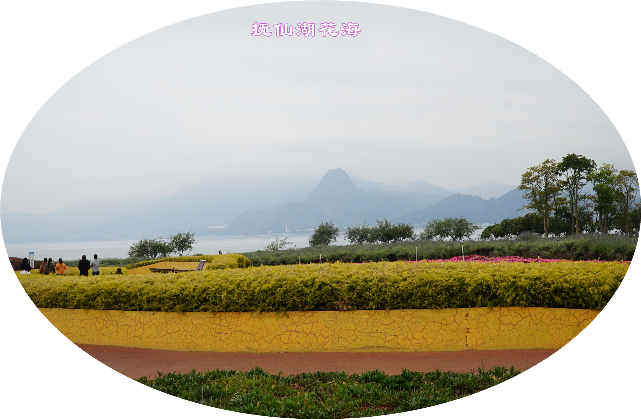 DSC05779.jpg