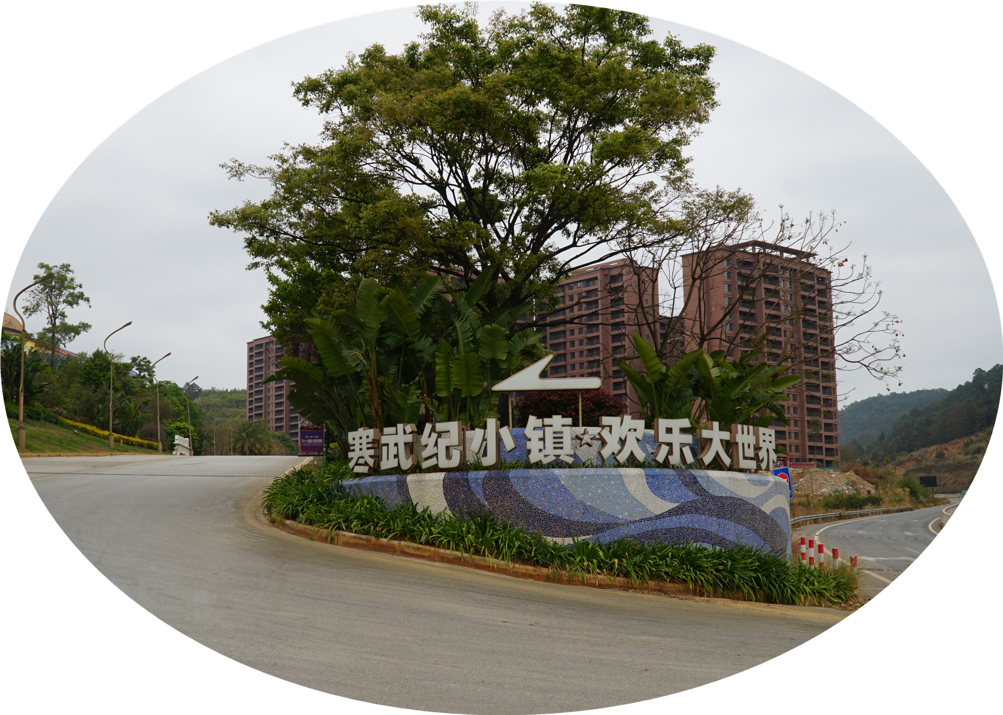 DSC05781.jpg