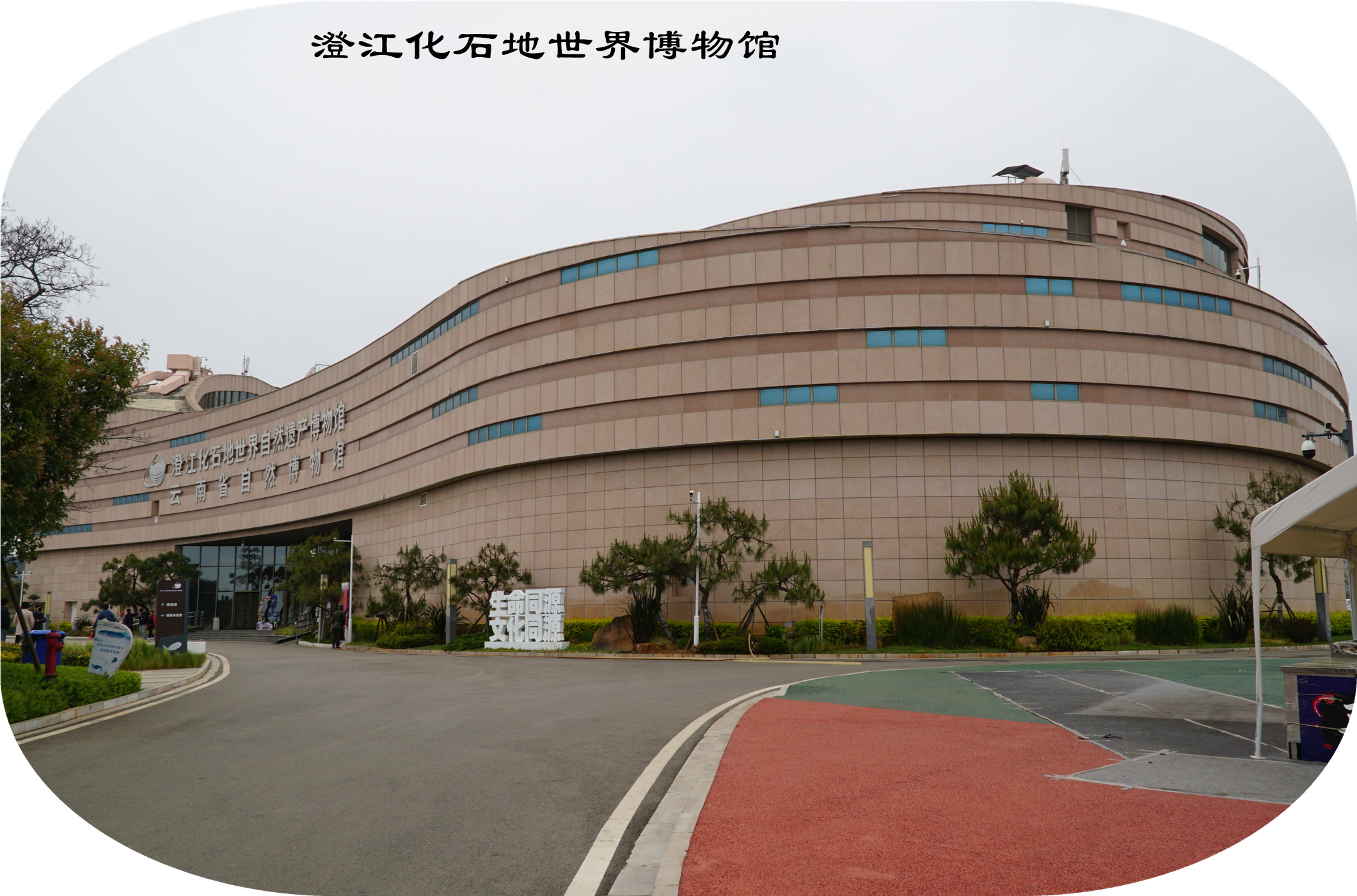 DSC05785.jpg