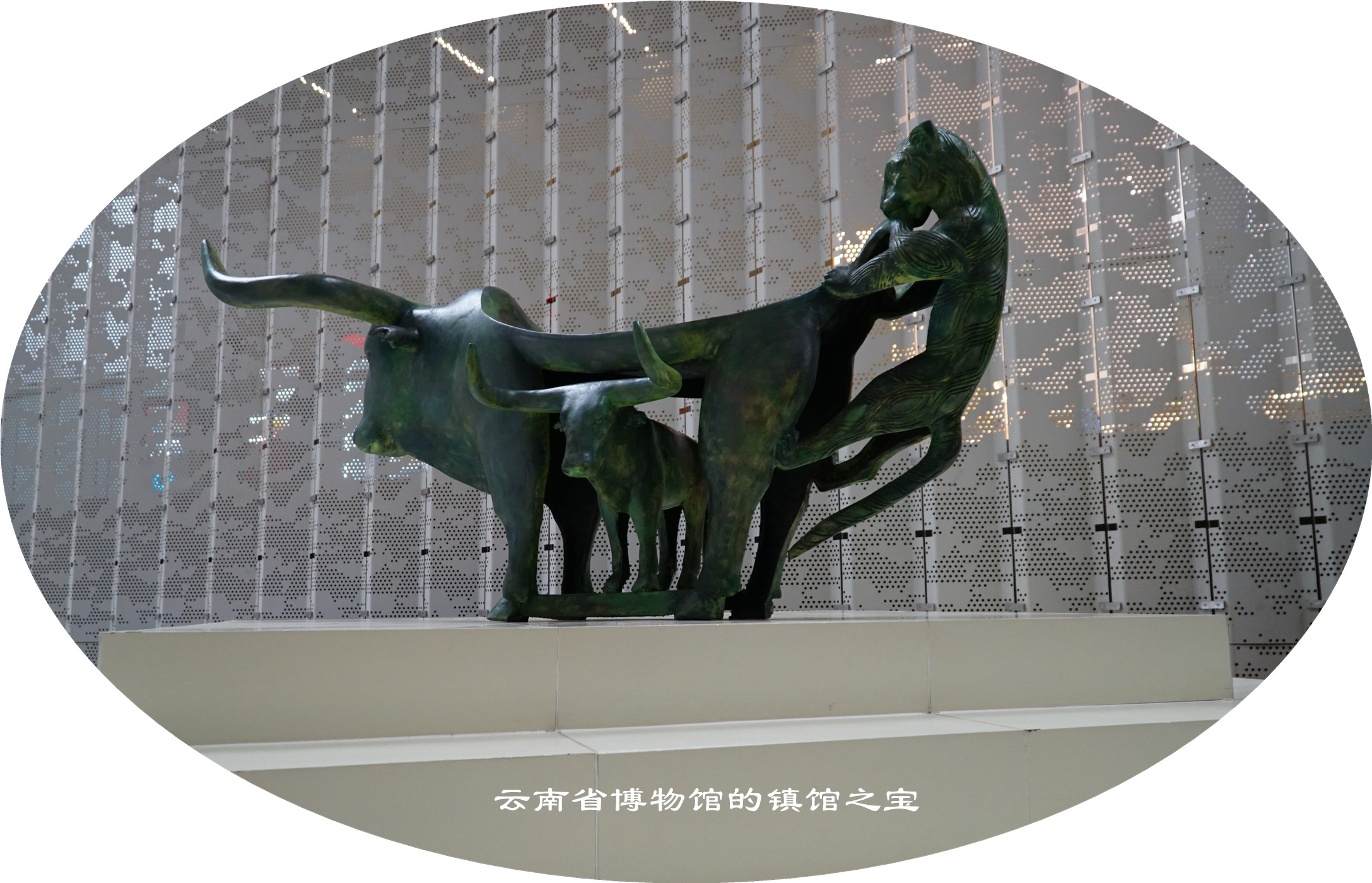DSC05801.jpg